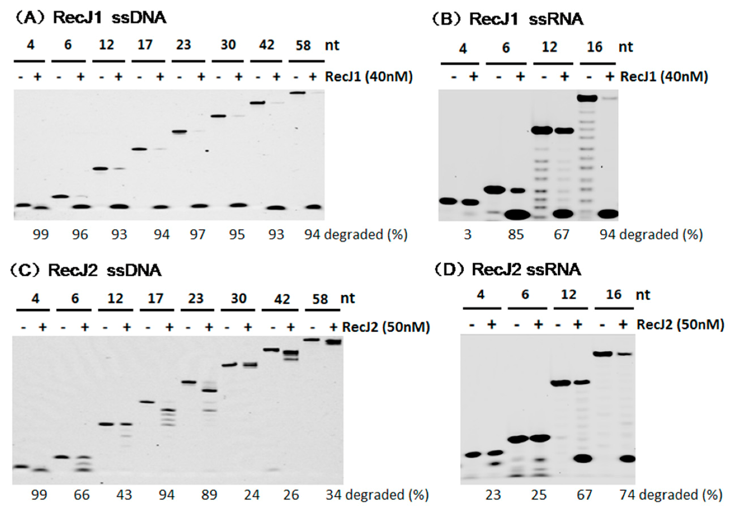 Genes 08 00211 g006