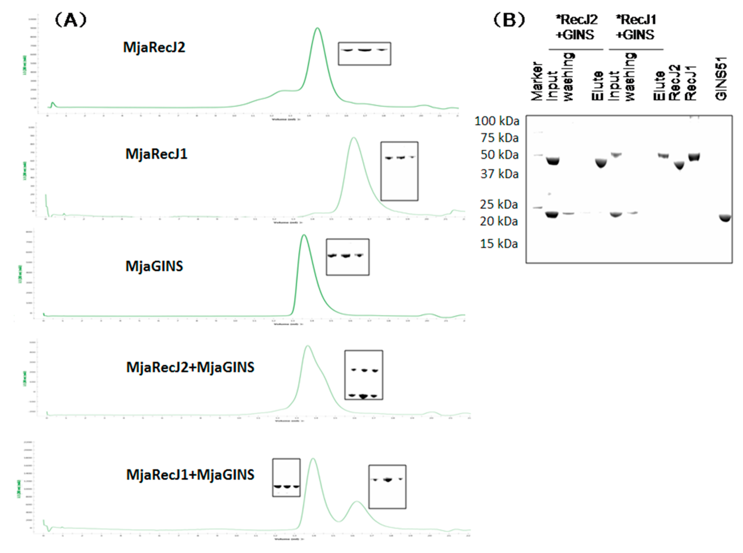 Genes 08 00211 g008