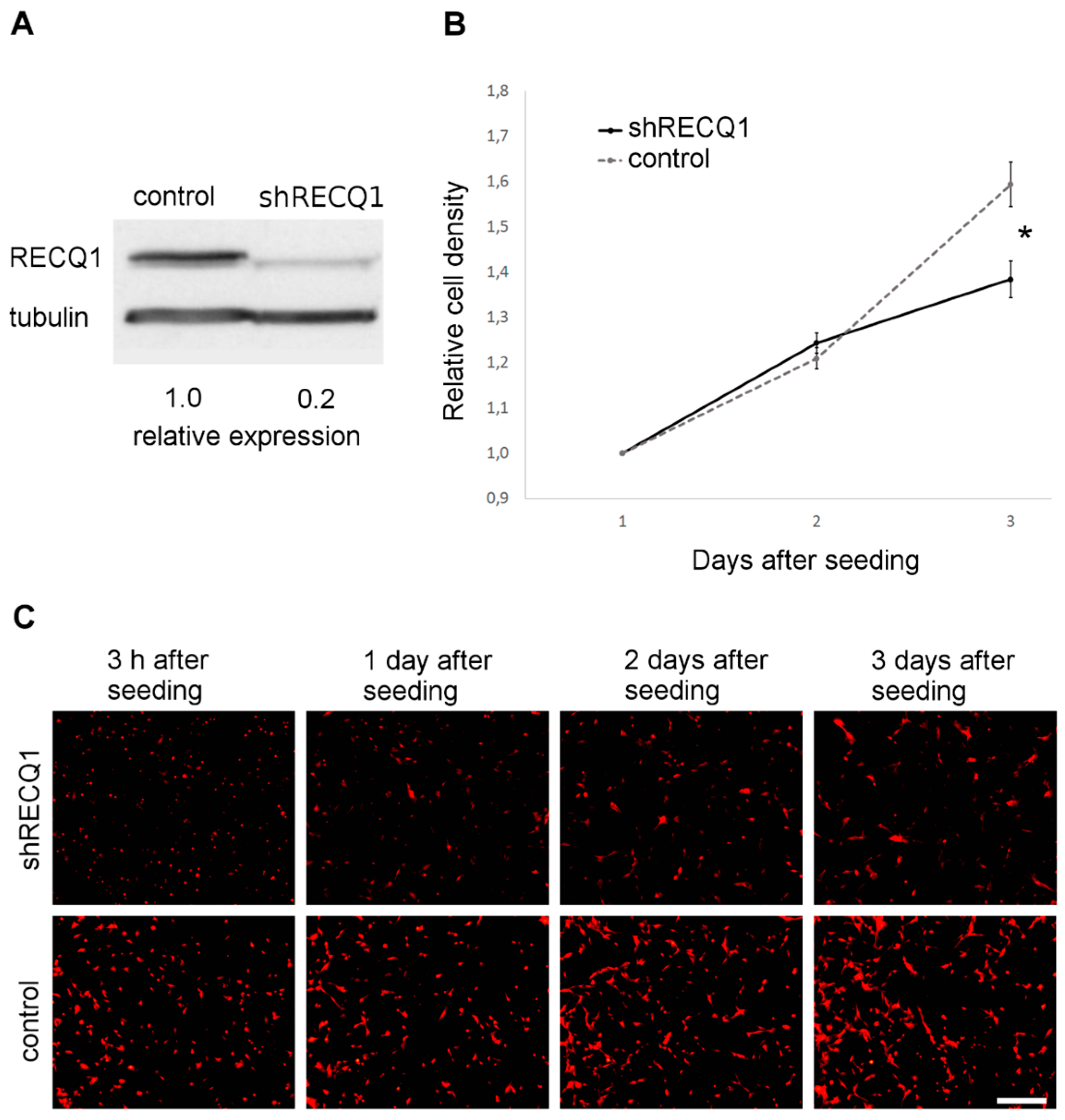 Genes 08 00222 g001 Genes 08 00222 g001