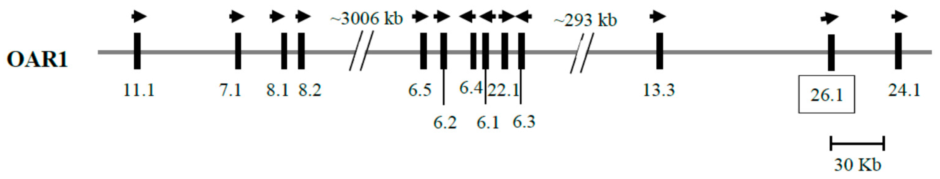 Genes 08 00225 g001 Genes 08 00225 g001