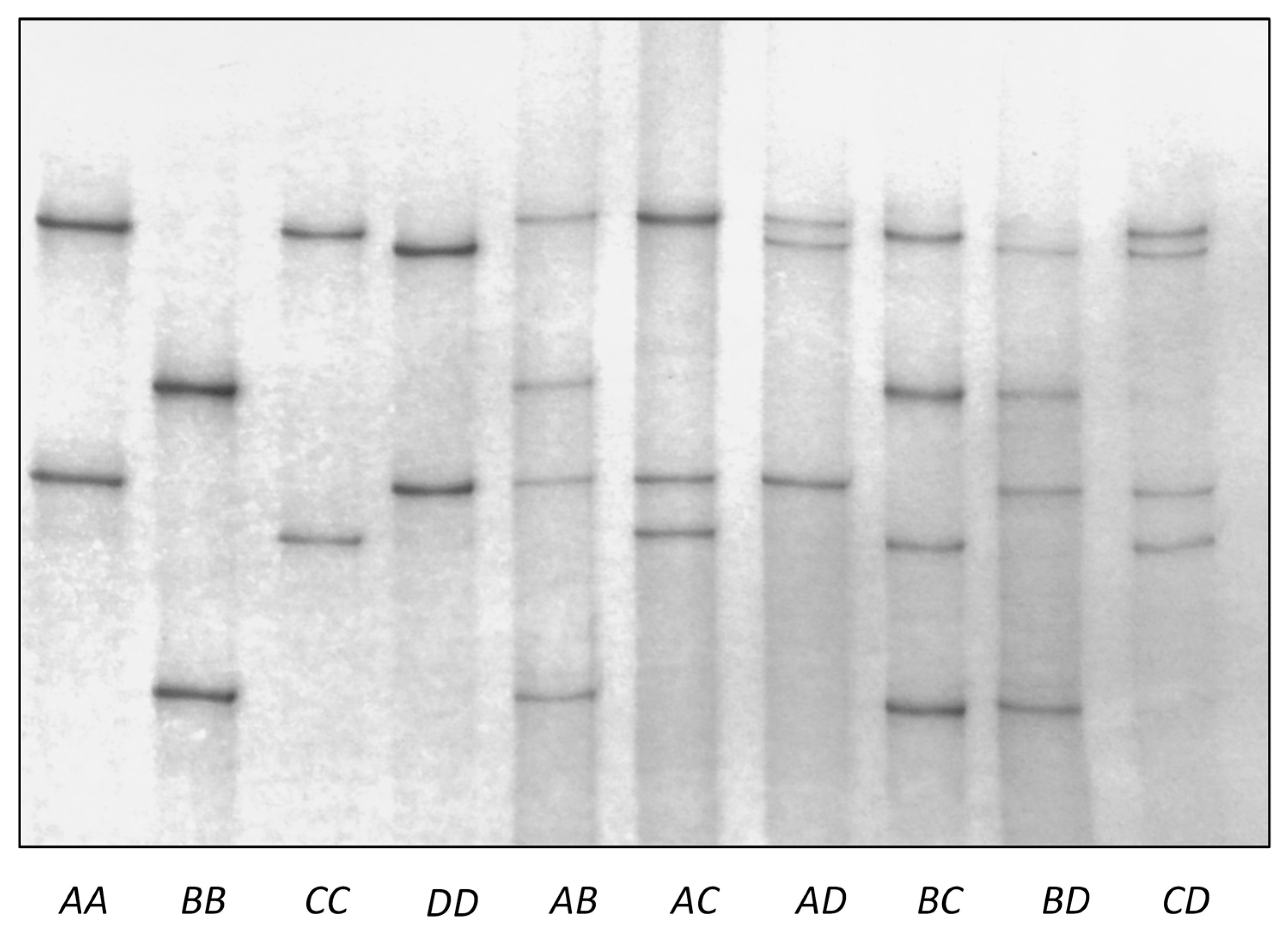 Genes 08 00225 g002 Genes 08 00225 g002