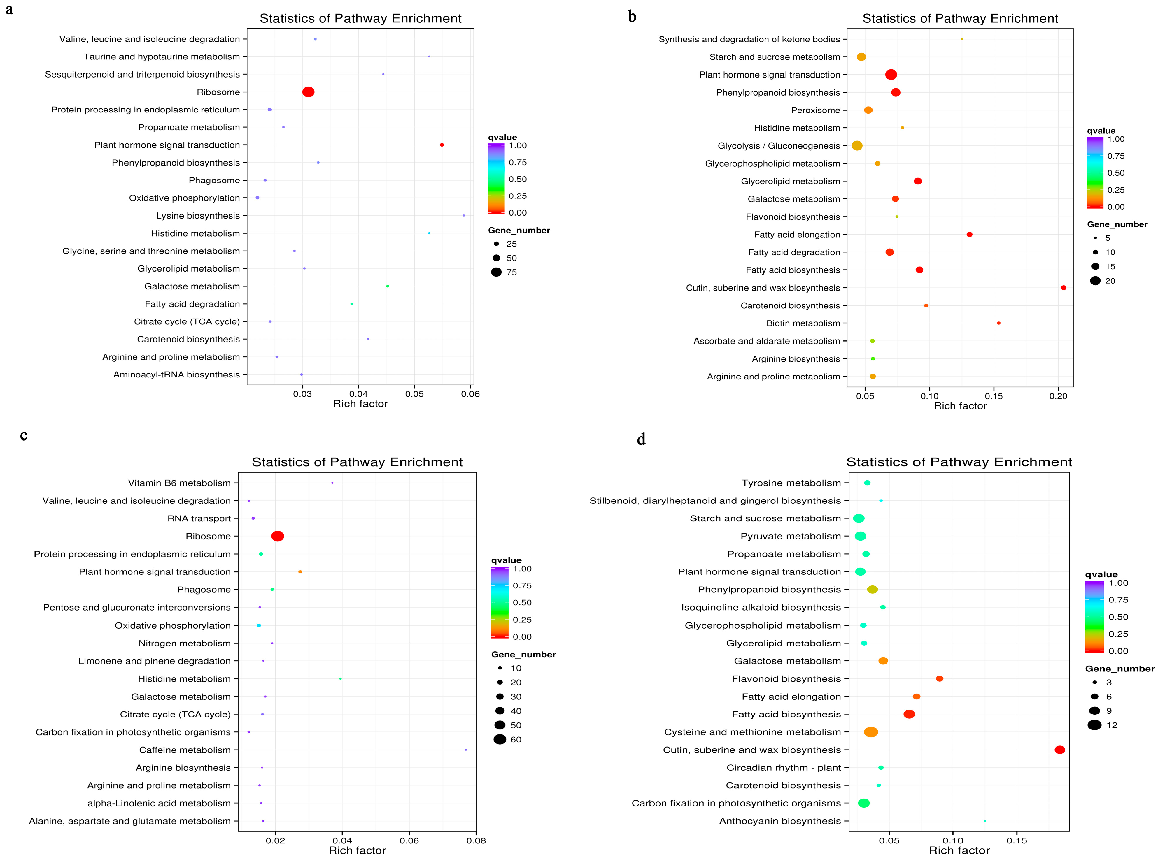 Genes 08 00226 g004a