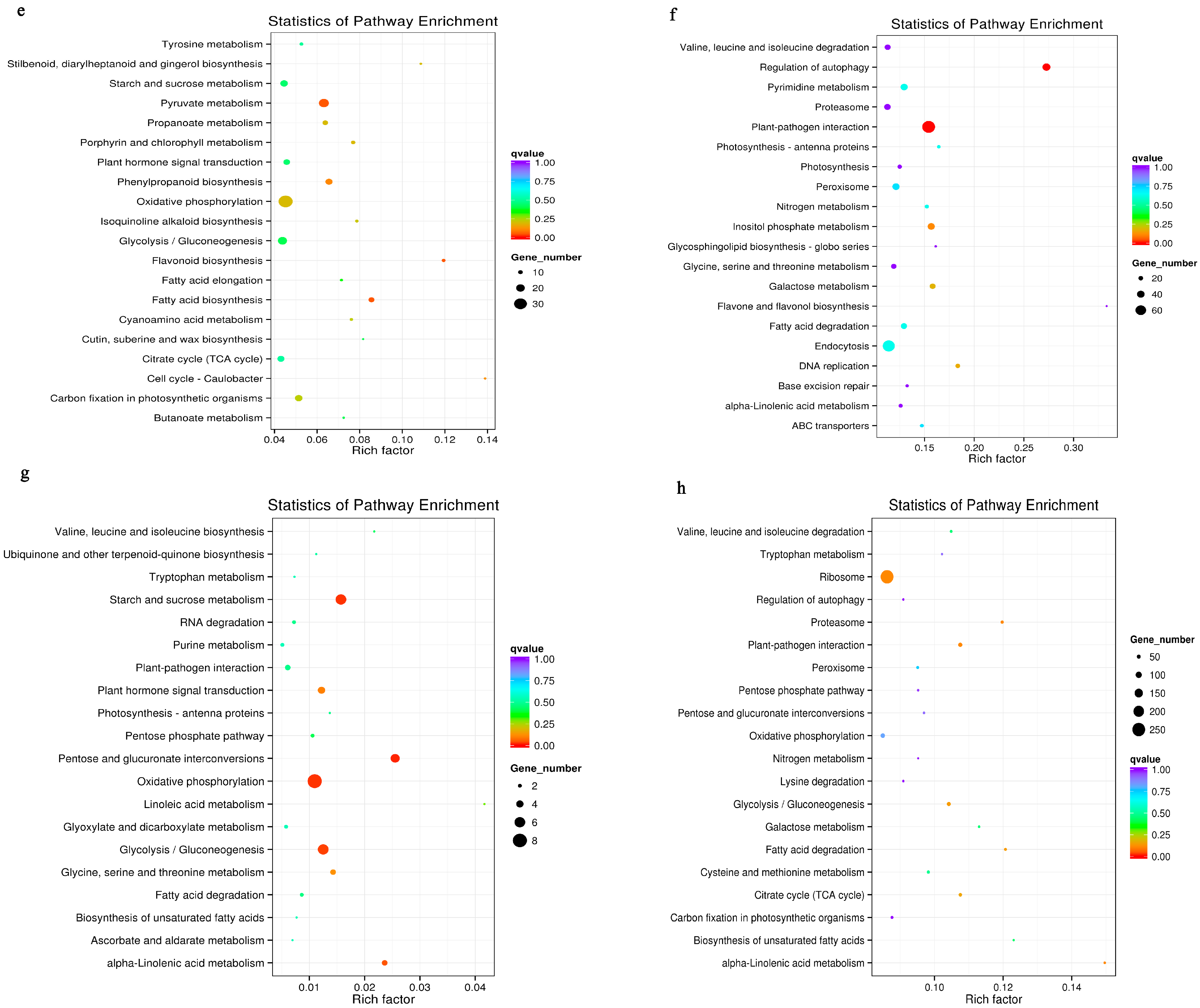 Genes 08 00226 g004b