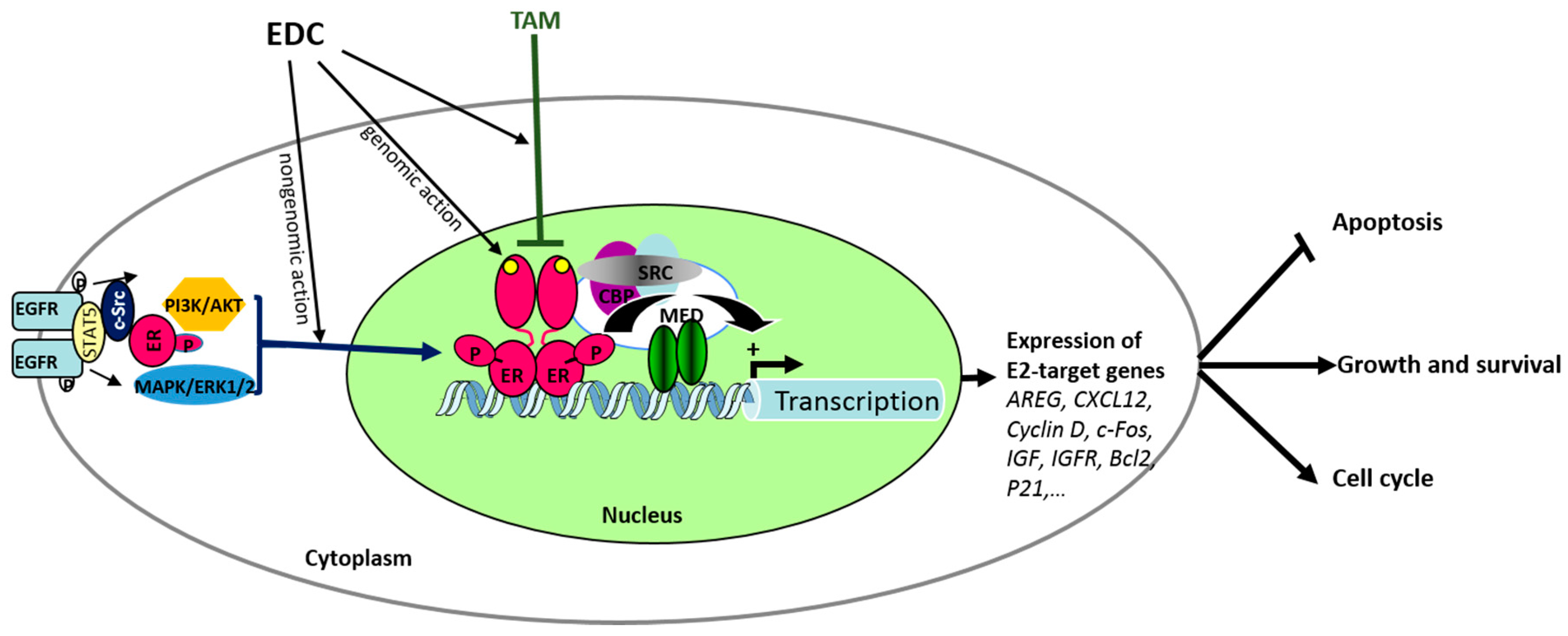 Genes 08 00229 g002 Genes 08 00229 g002