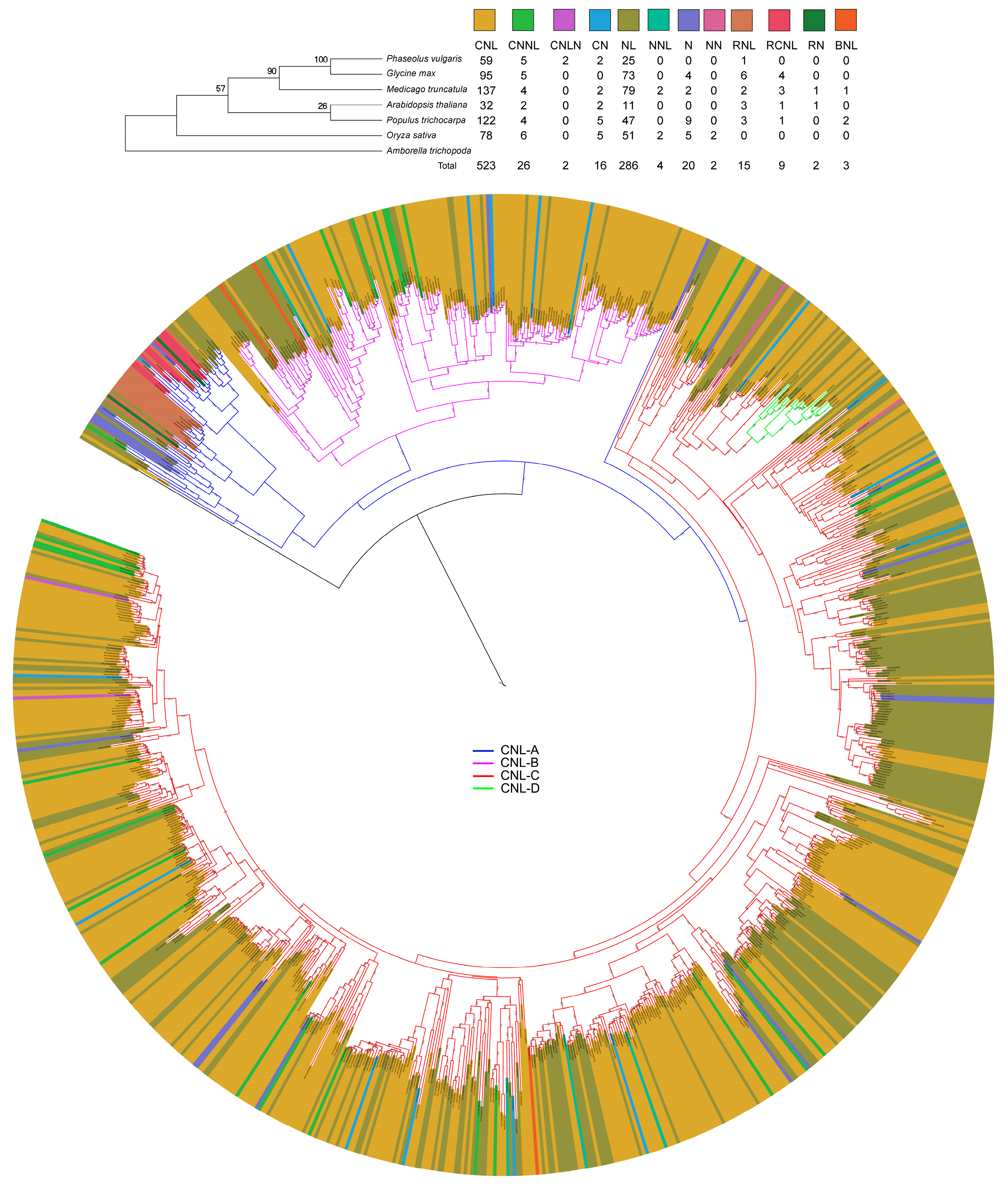 Genes 08 00249 g001 Genes 08 00249 g001