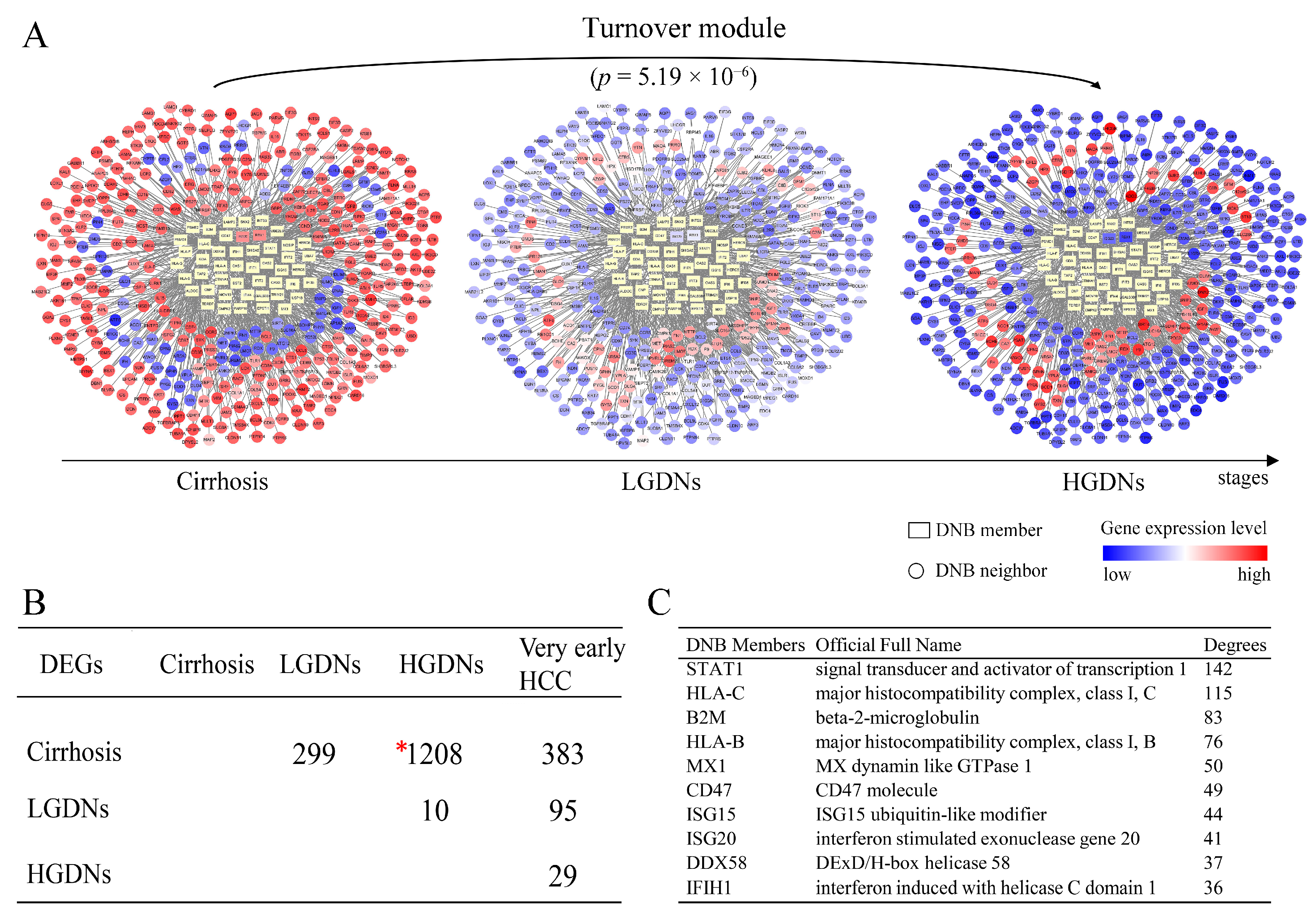 Genes 08 00268 g003