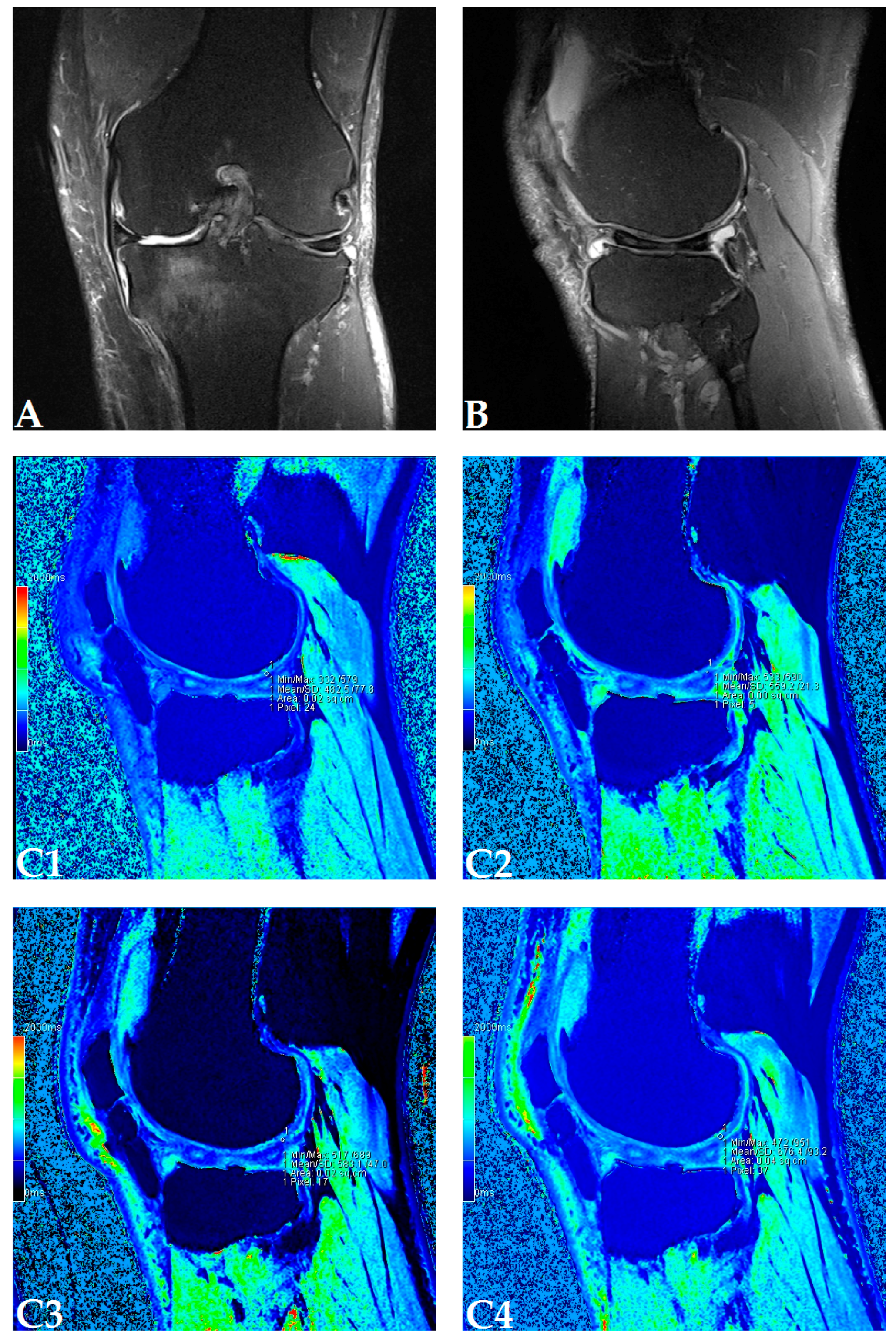 Genes 08 00270 g001a