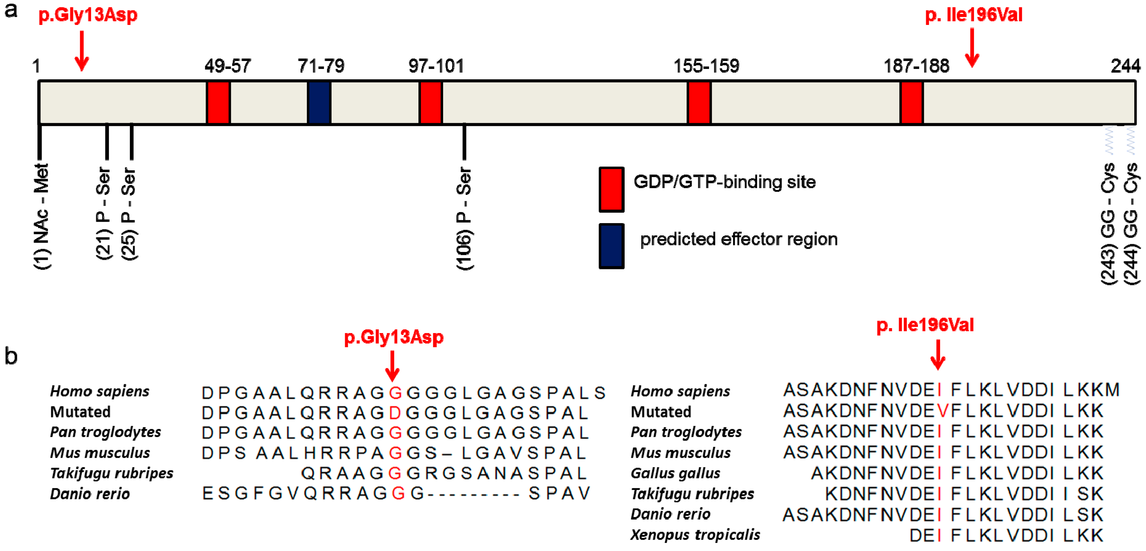 Genes 08 00276 g002a Genes 08 00276 g002a