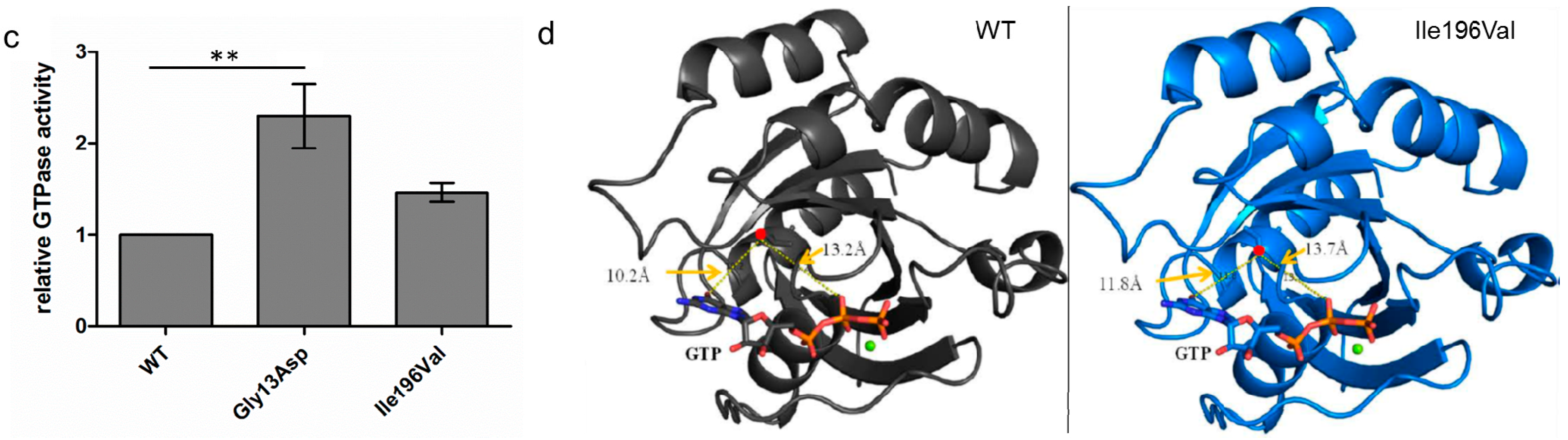 Genes 08 00276 g002b Genes 08 00276 g002b