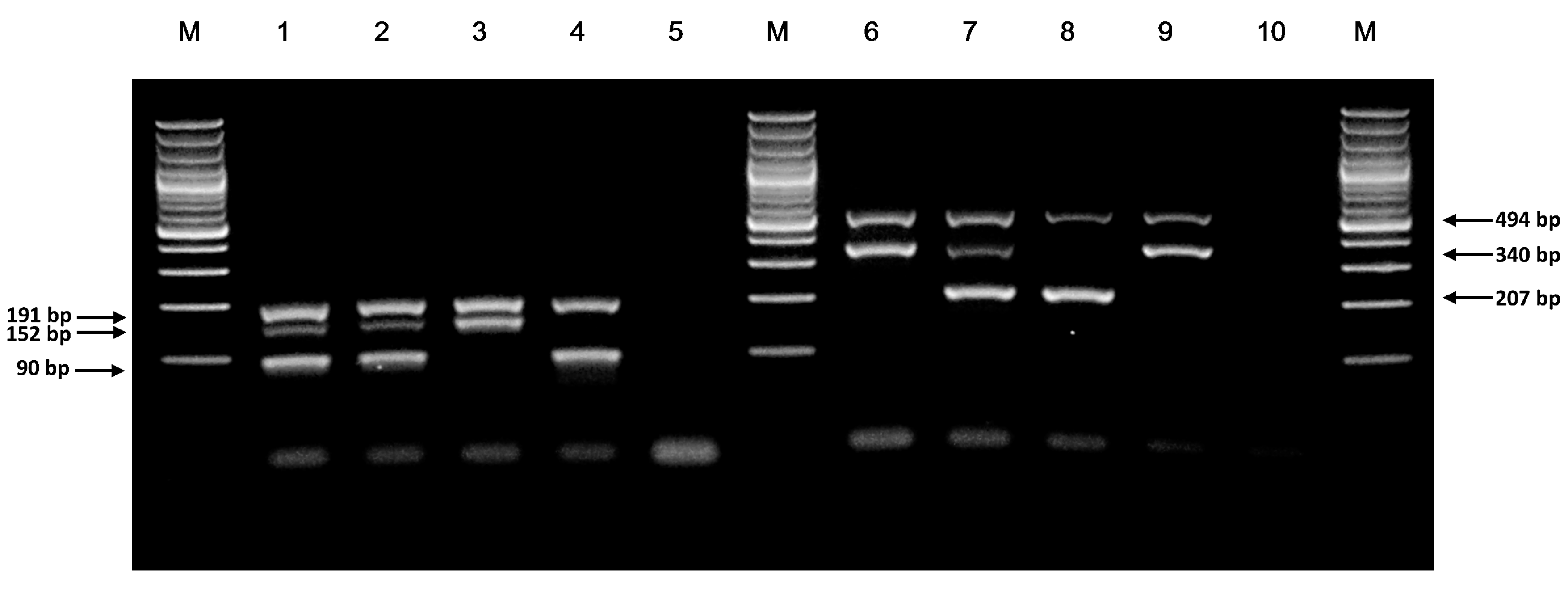 Genes 08 00285 g001 Genes 08 00285 g001