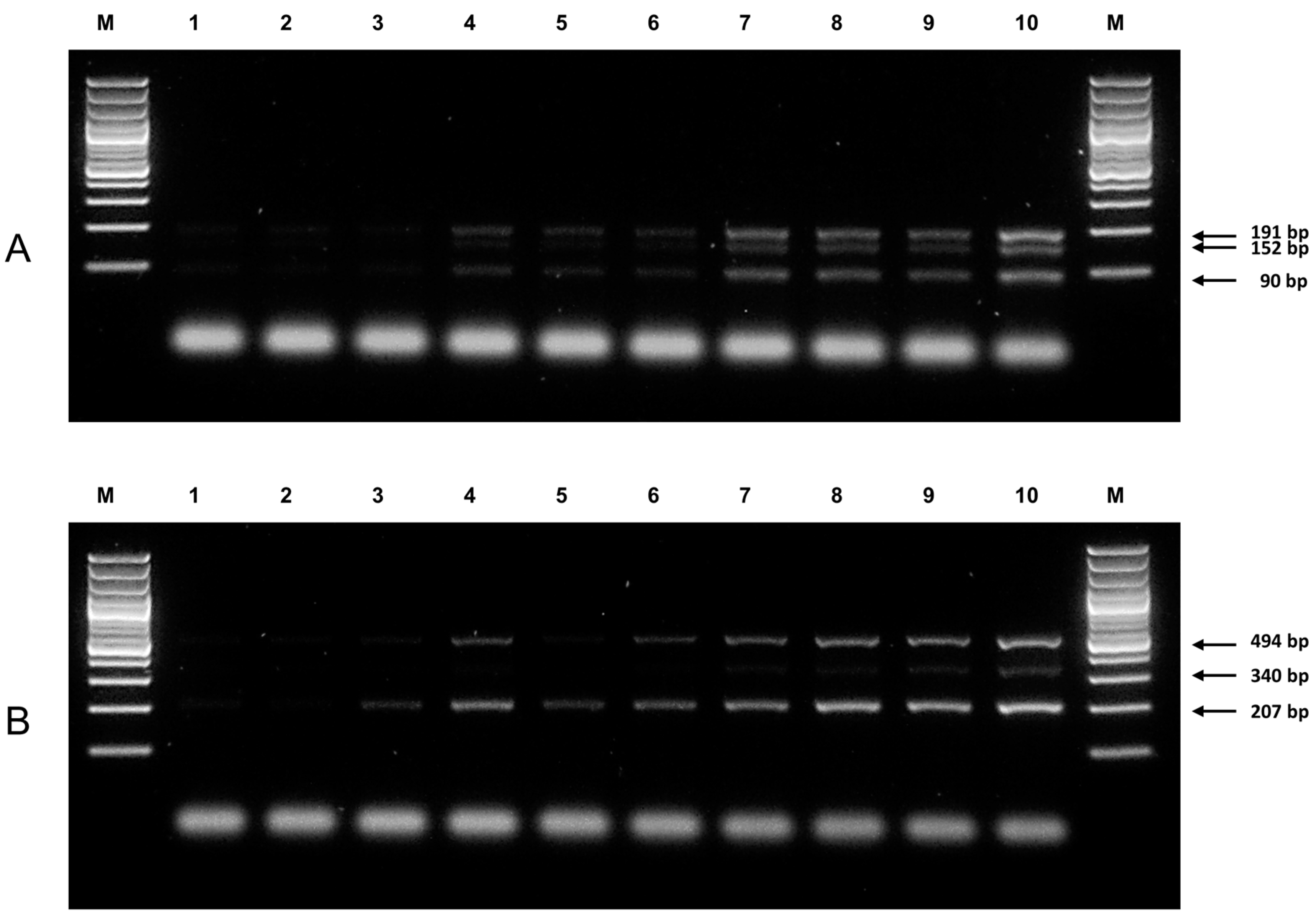 Genes 08 00285 g002 Genes 08 00285 g002