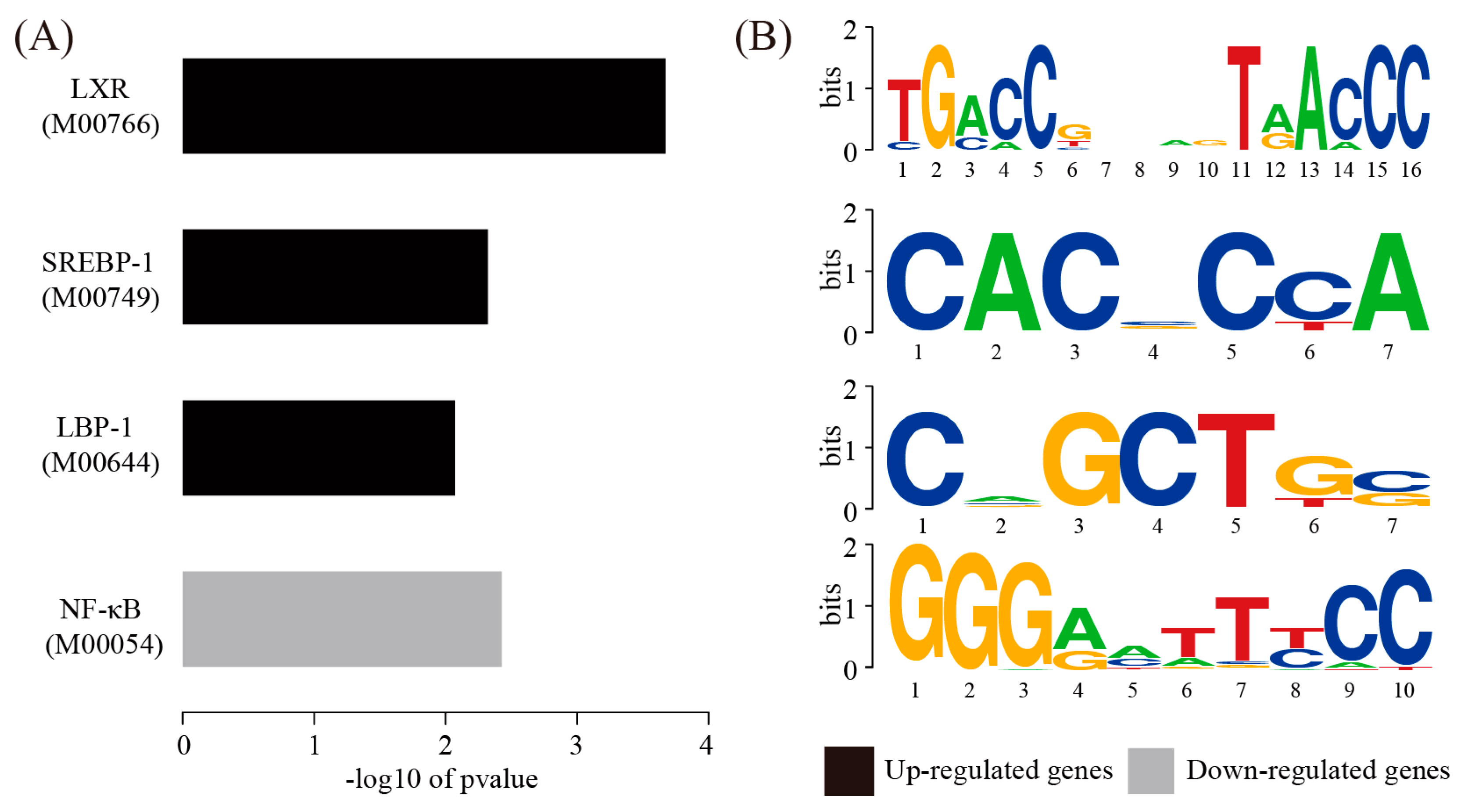 Genes 08 00289 g004