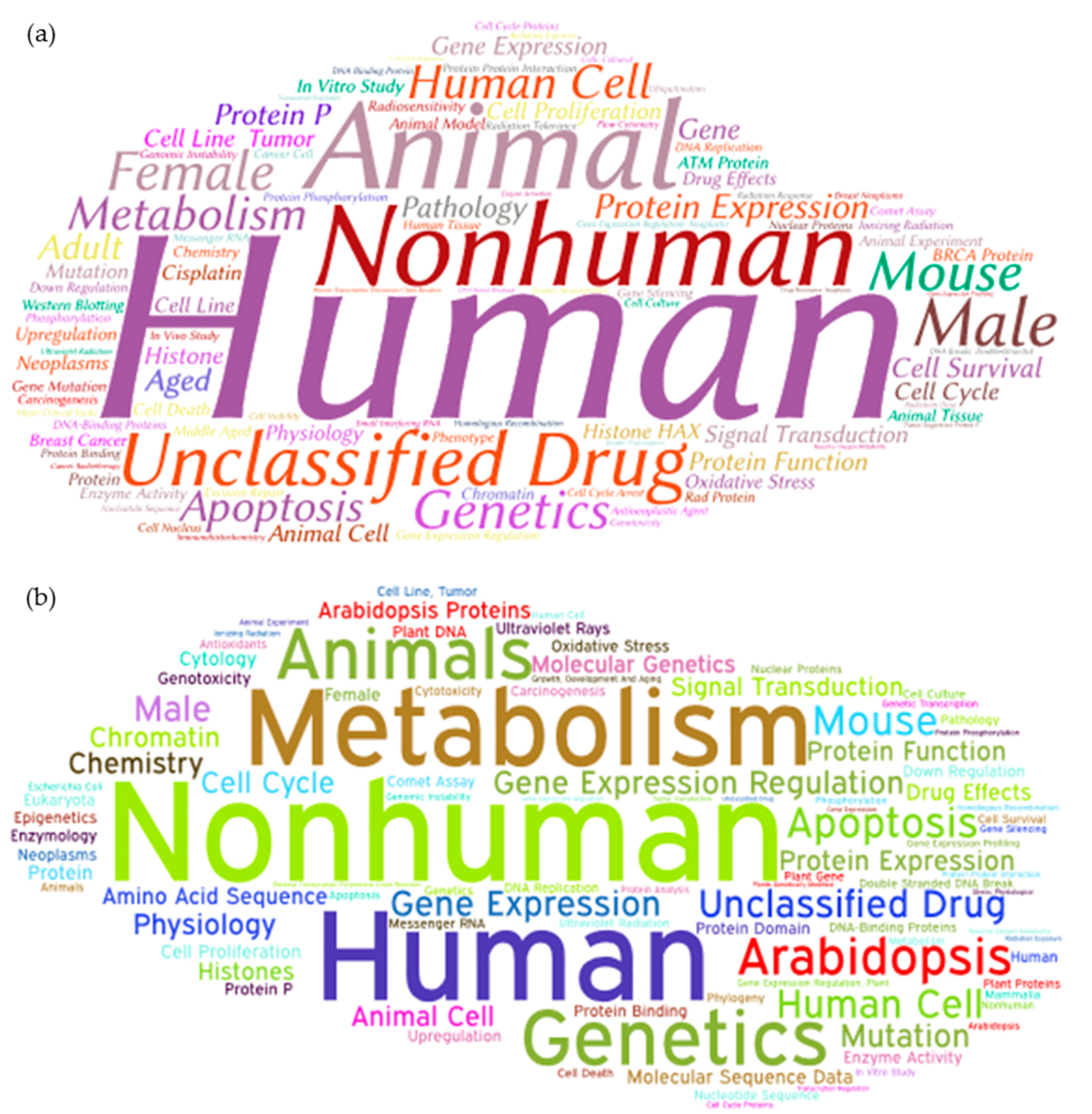 Genes 08 00299 g004 Genes 08 00299 g004