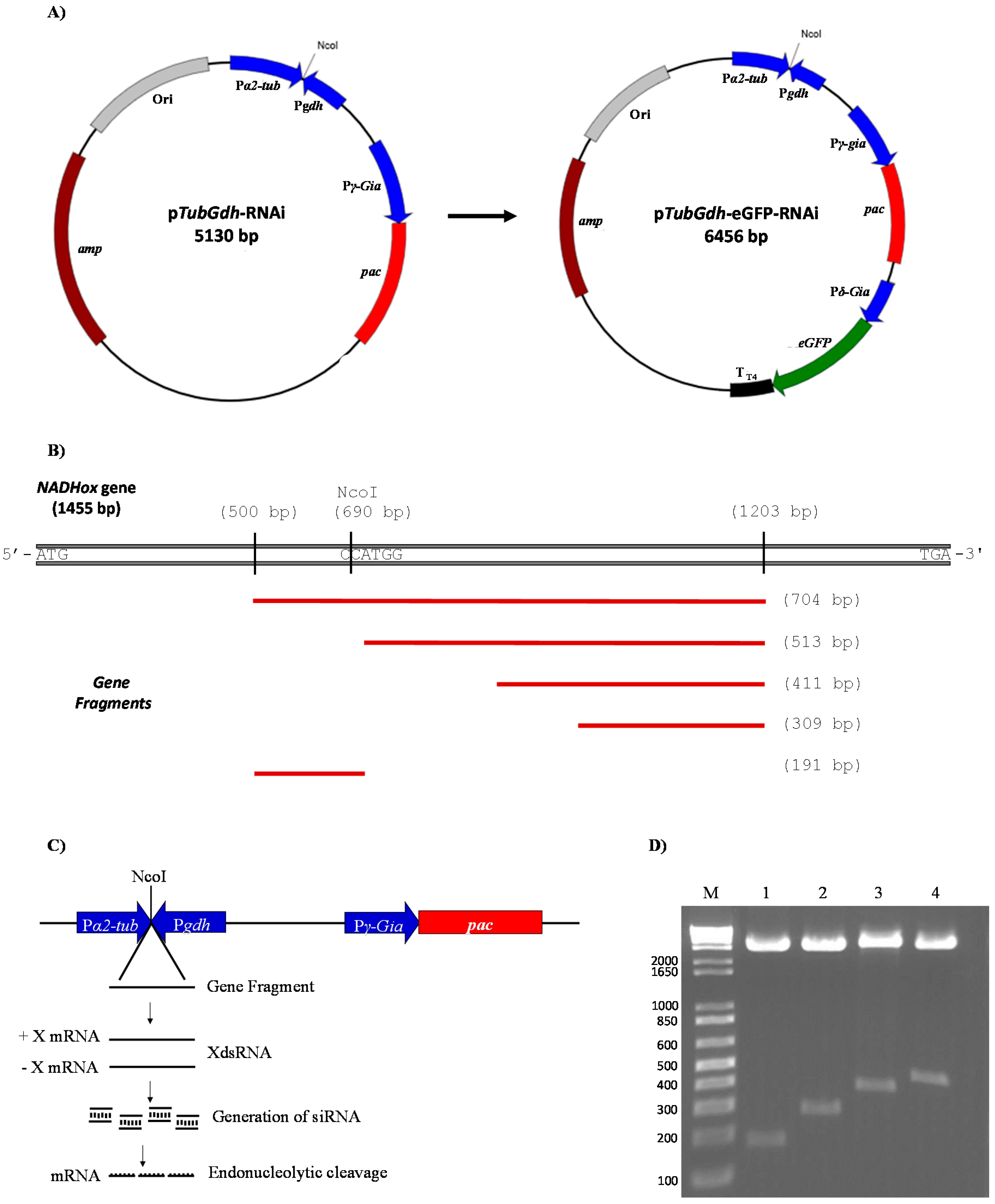 Genes 08 00303 g001