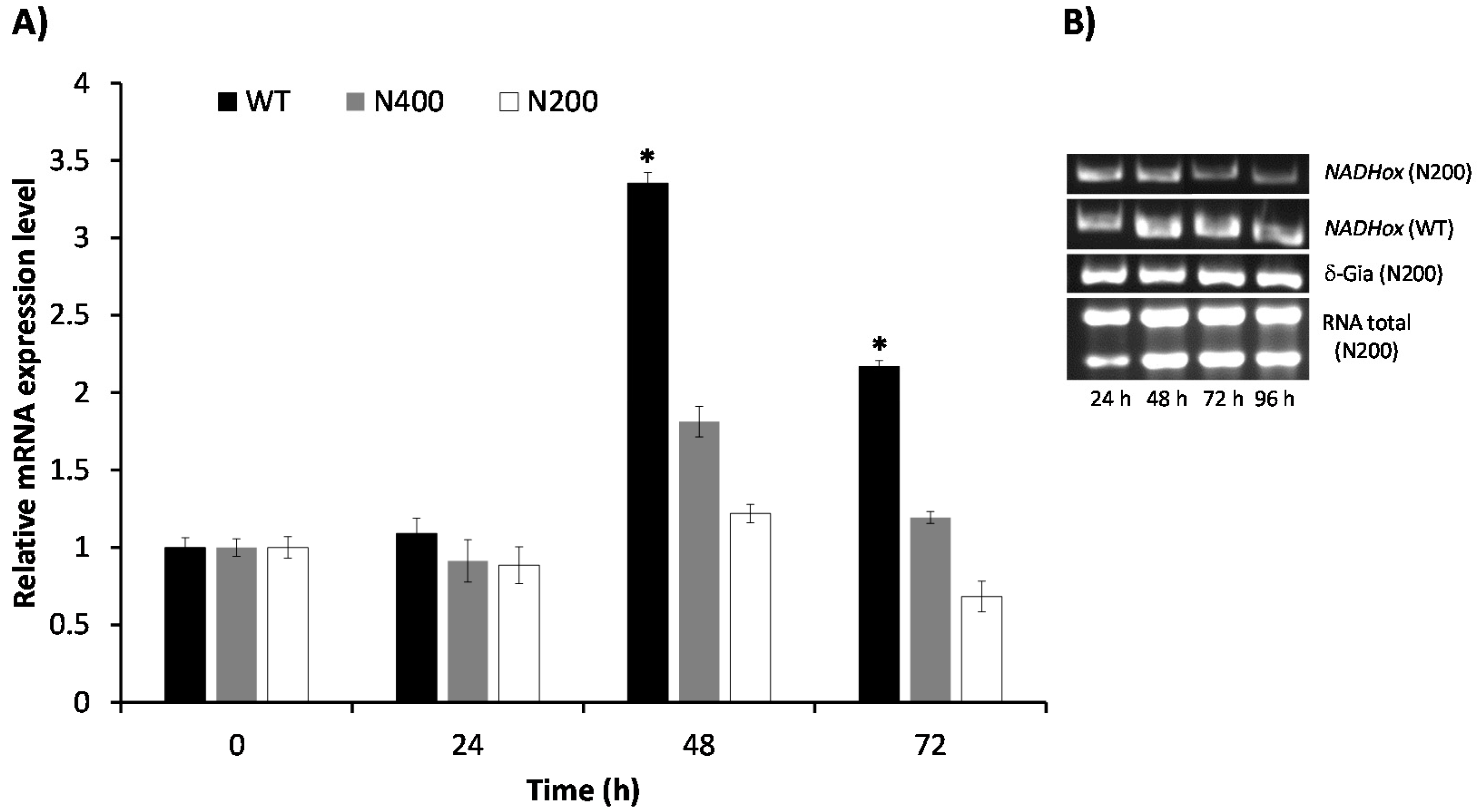 Genes 08 00303 g004