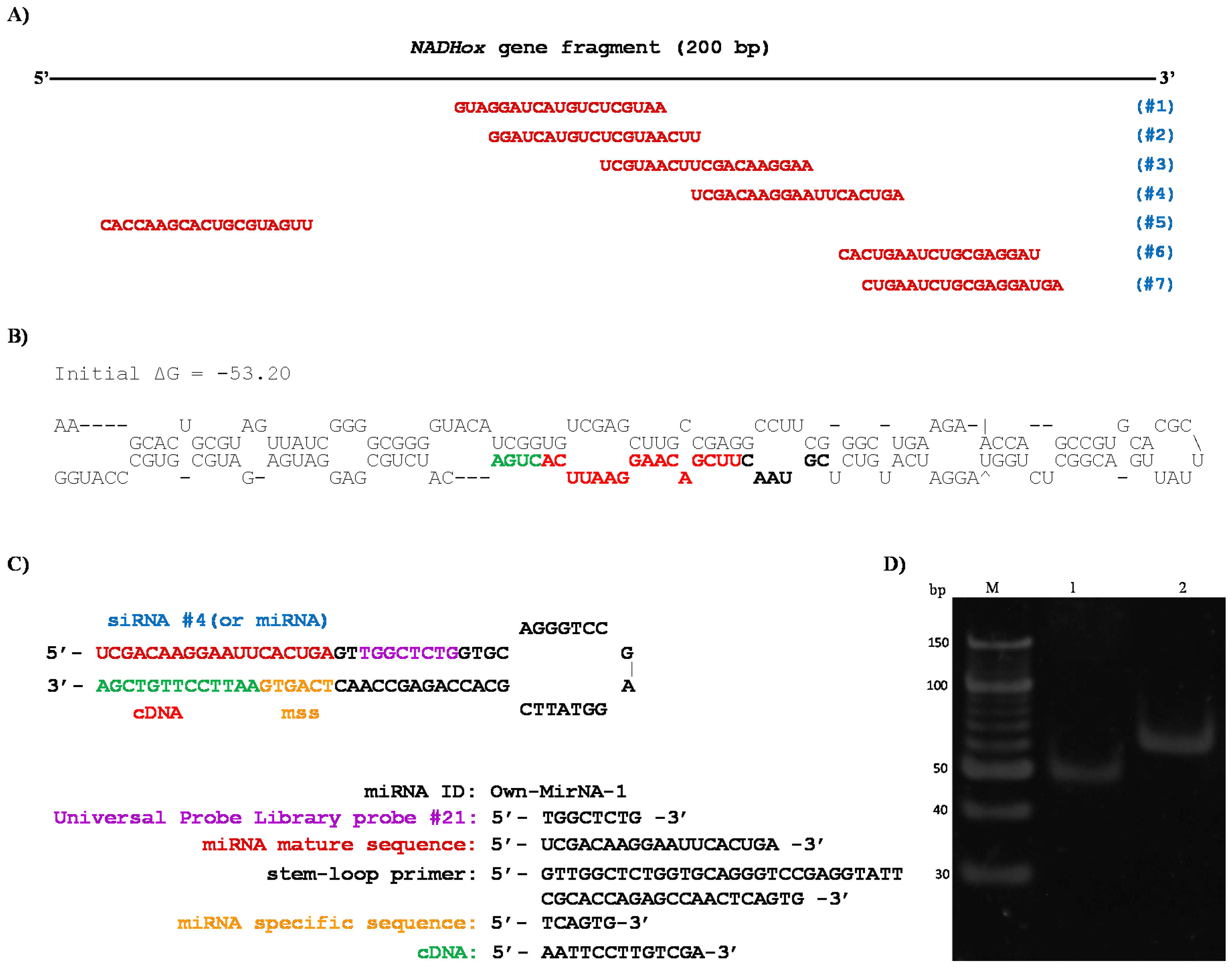 Genes 08 00303 g005