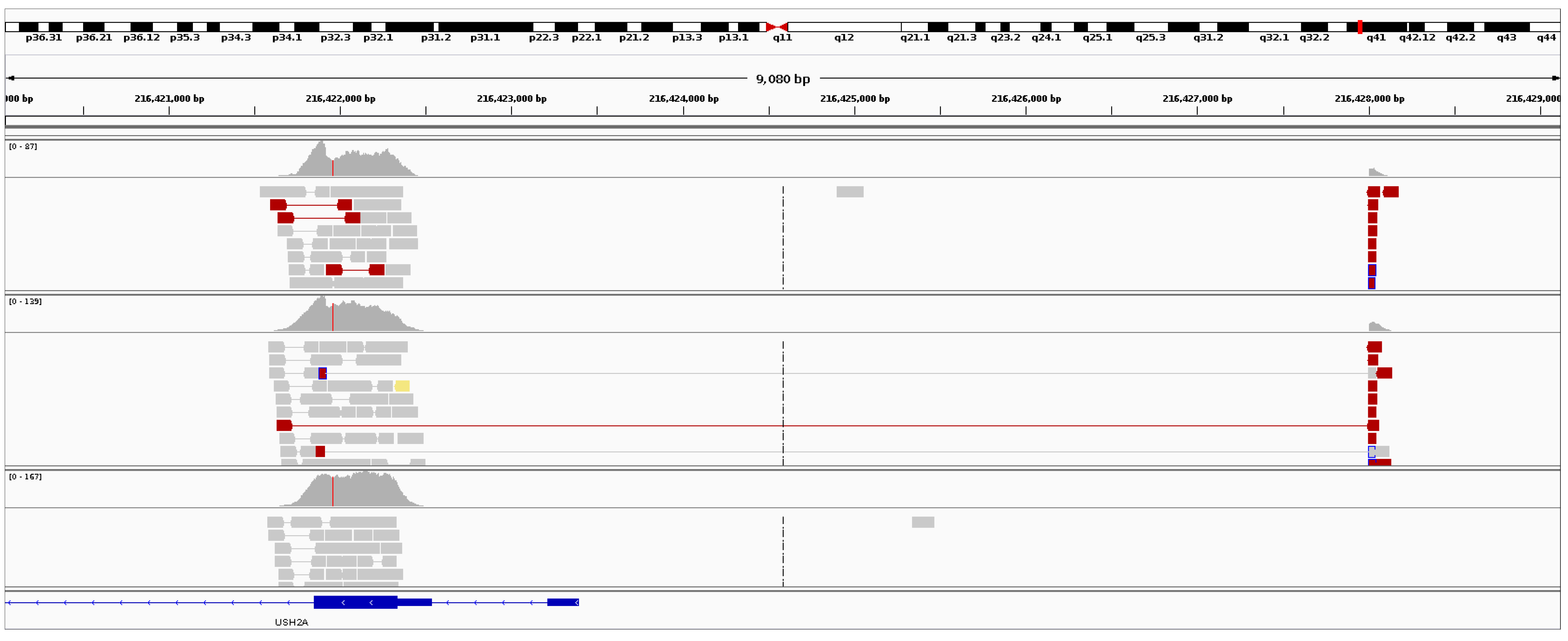 Genes 08 00304 g004