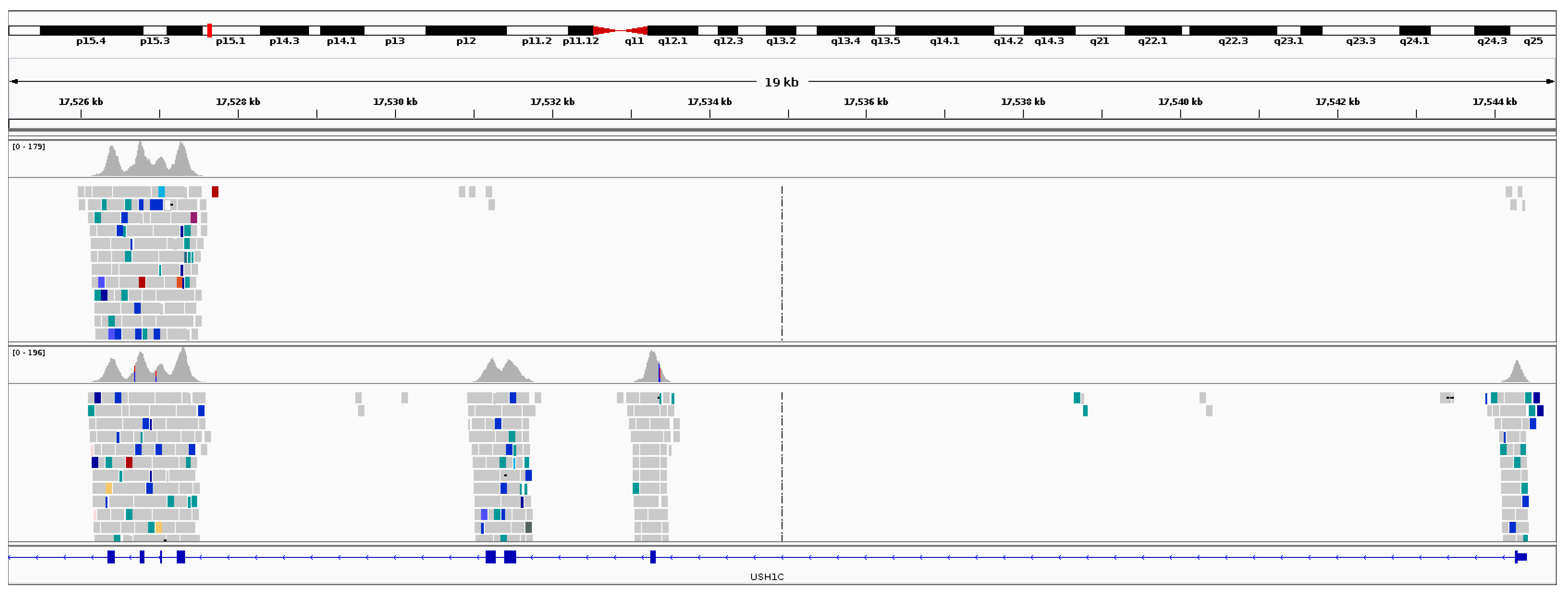 Genes 08 00304 g008