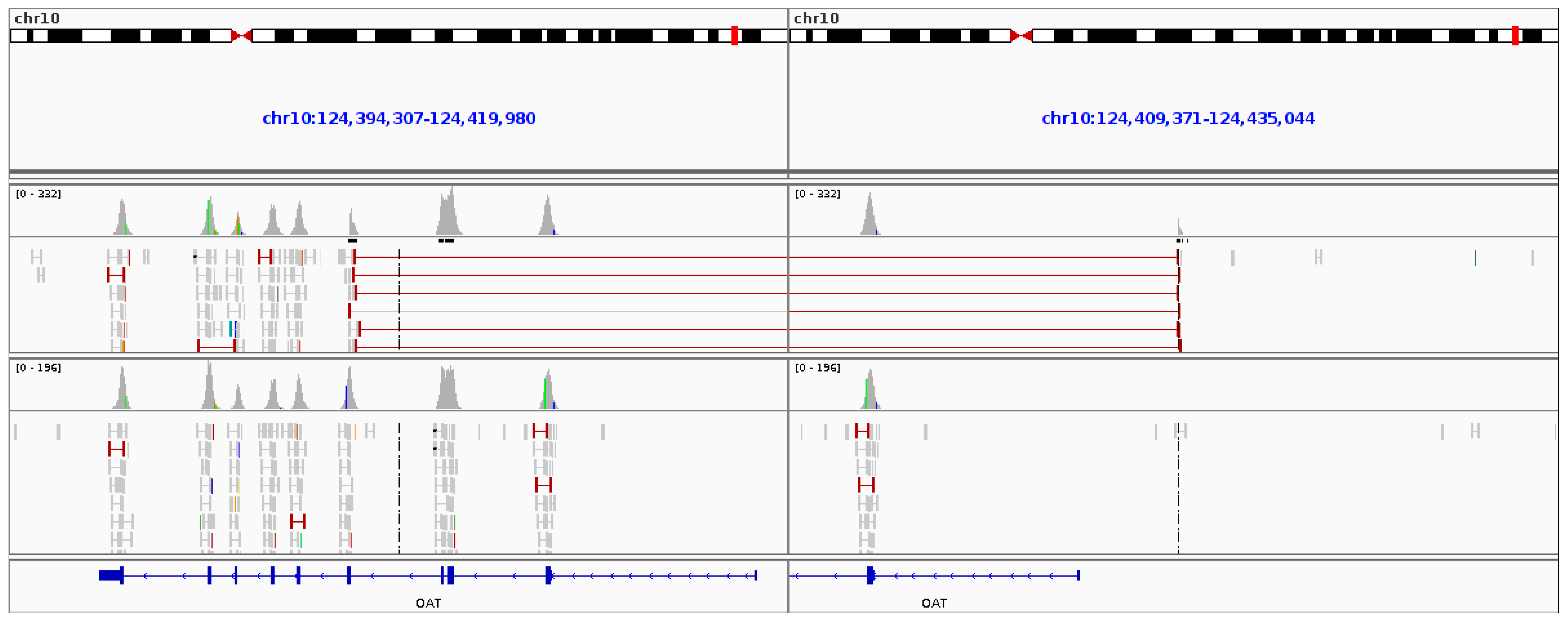 Genes 08 00304 g010