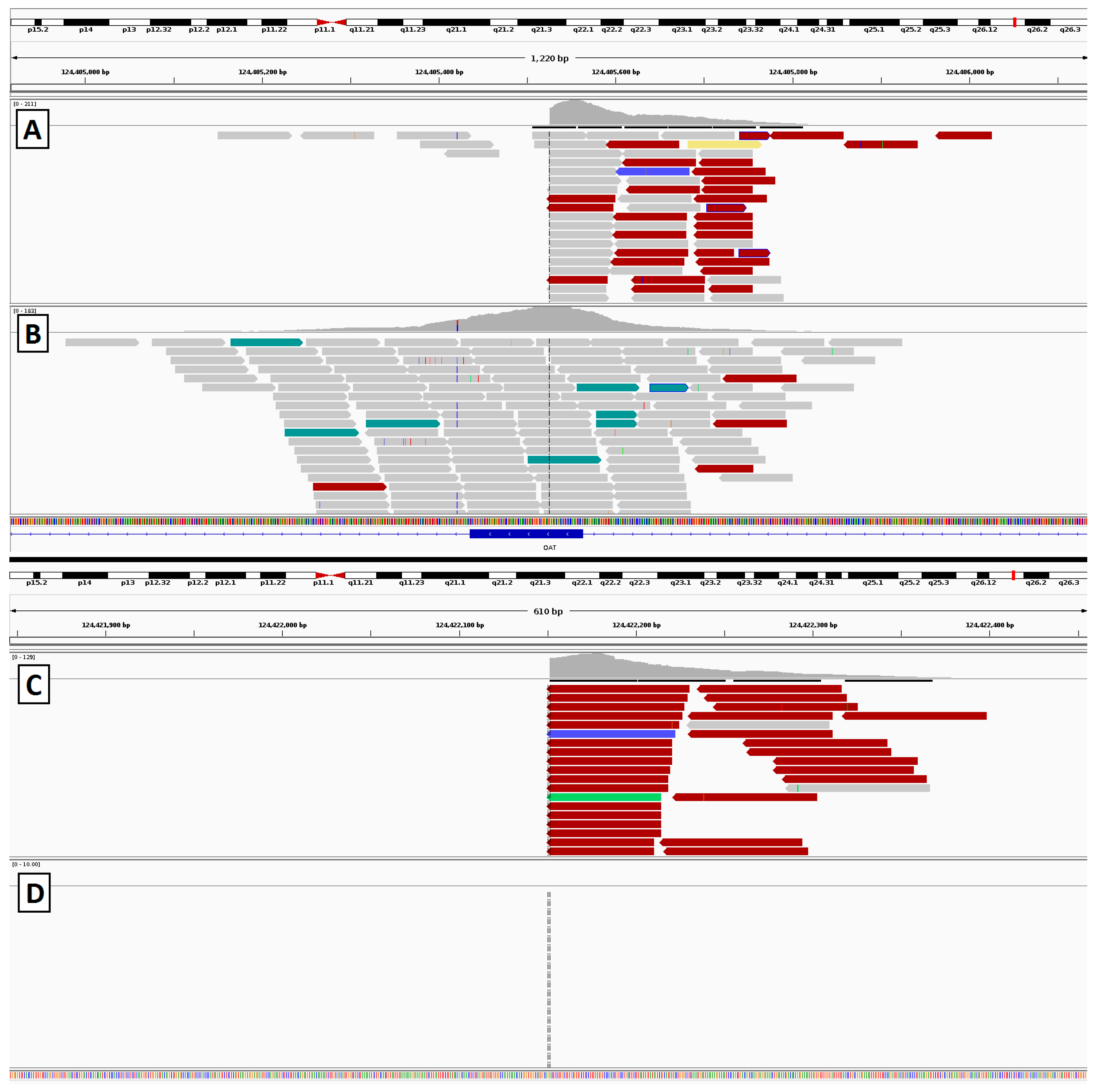 Genes 08 00304 g011