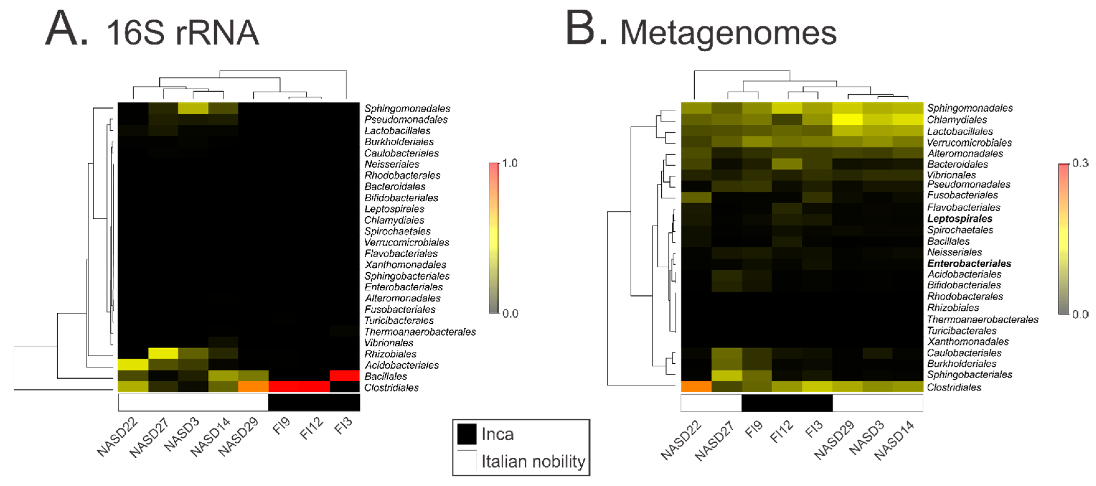 Genes 08 00310 g001