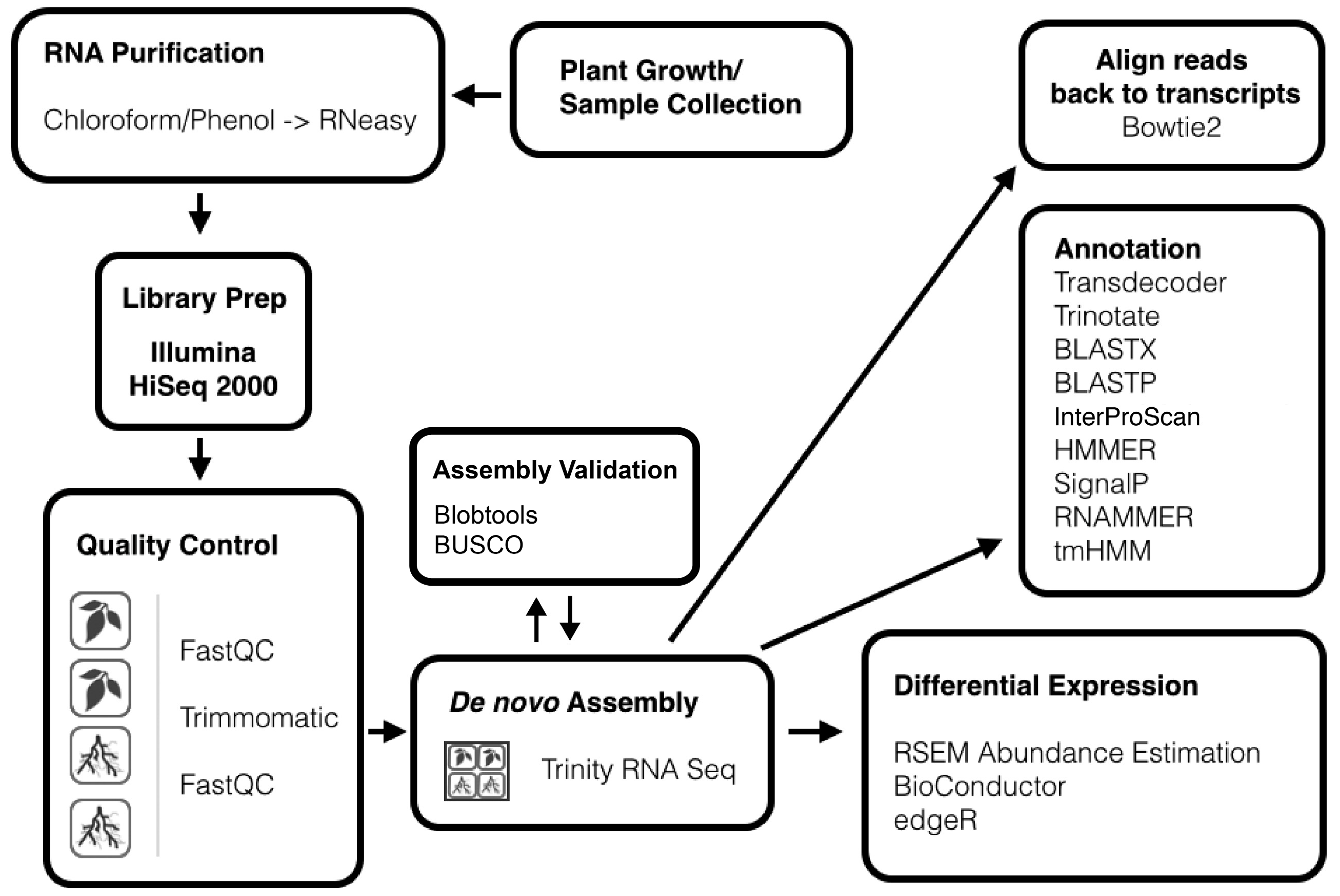 Genes 08 00317 g001