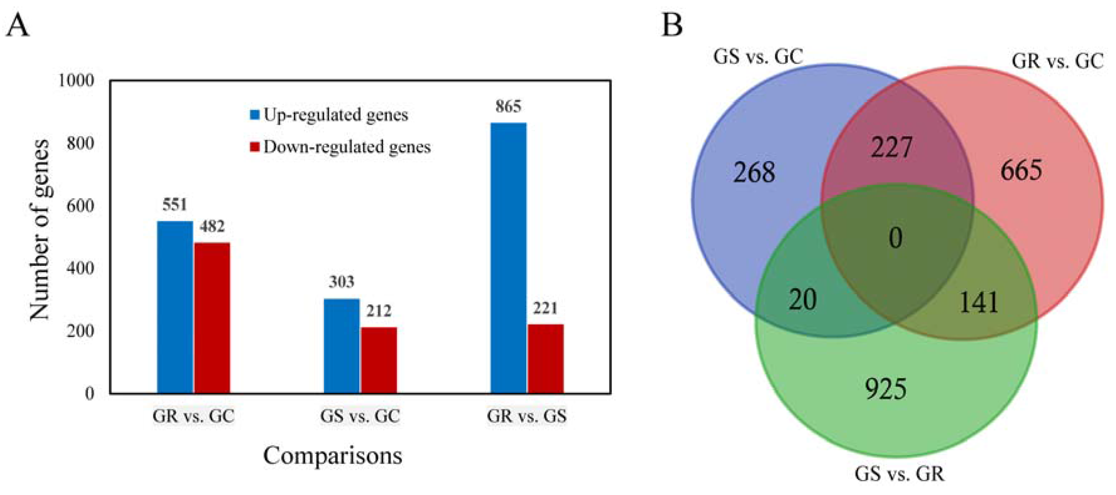 Genes 08 00320 g002