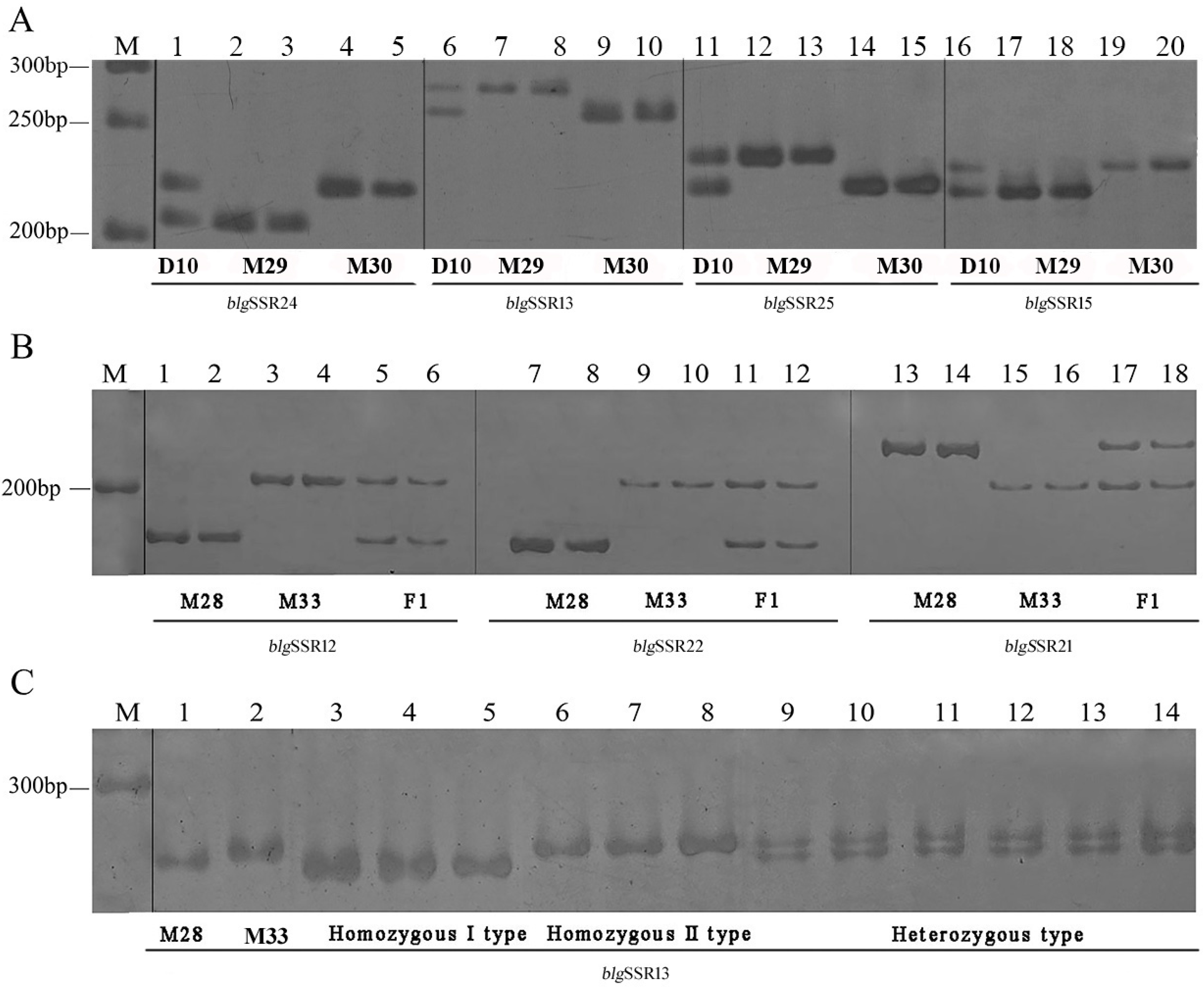 Genes 08 00325 g002 Genes 08 00325 g002