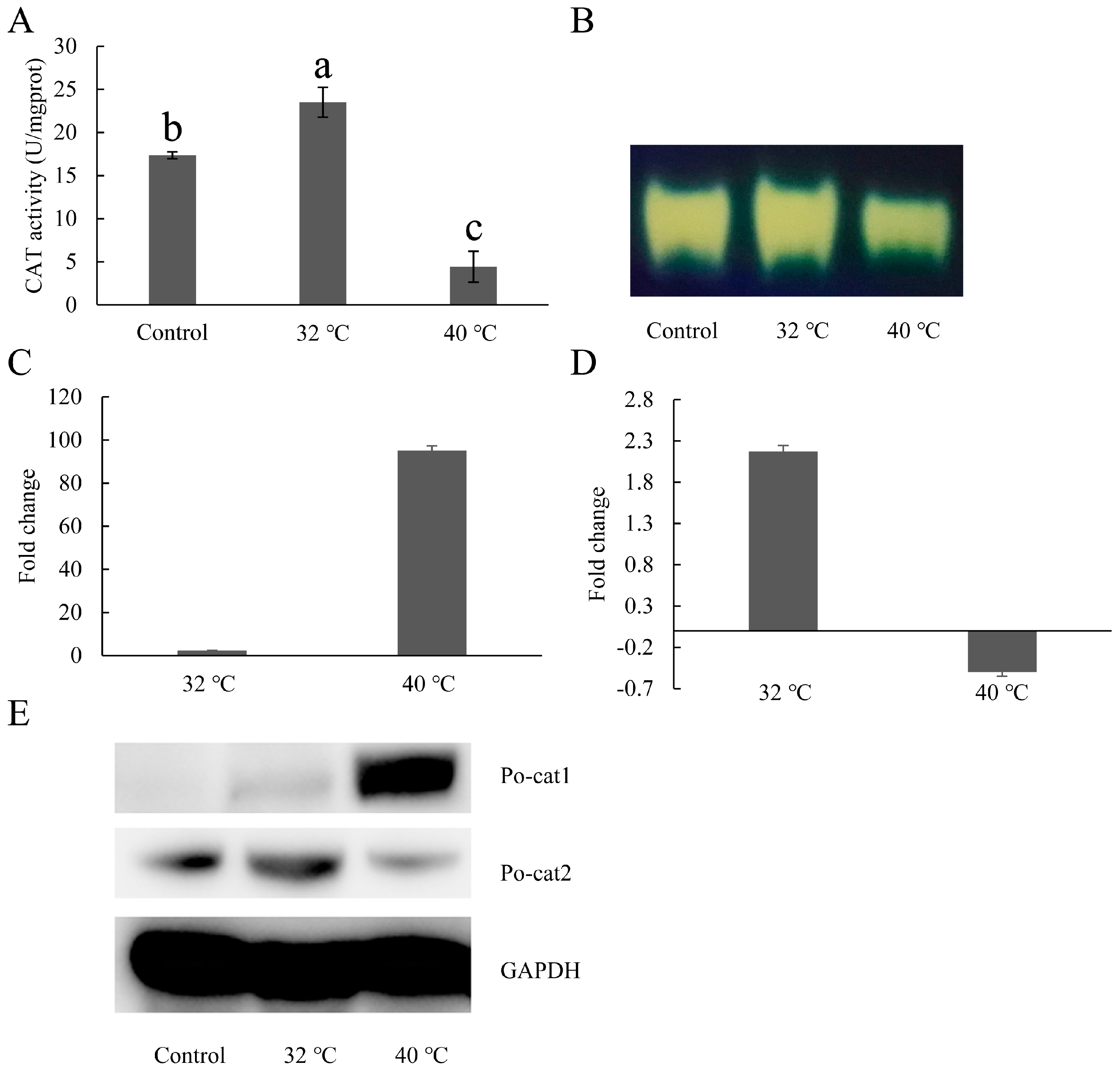 Genes 08 00335 g004