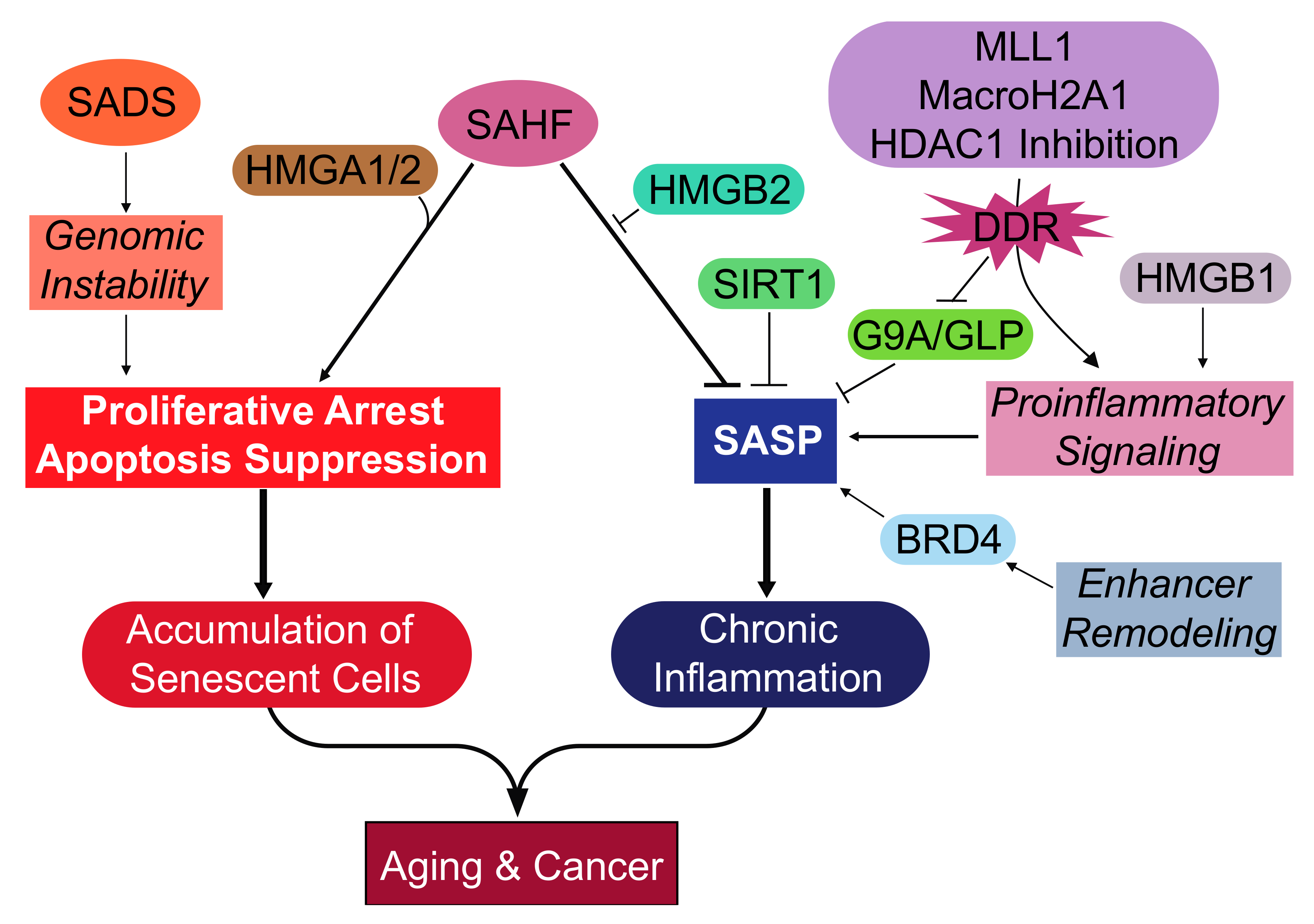 Genes 08 00343 g001