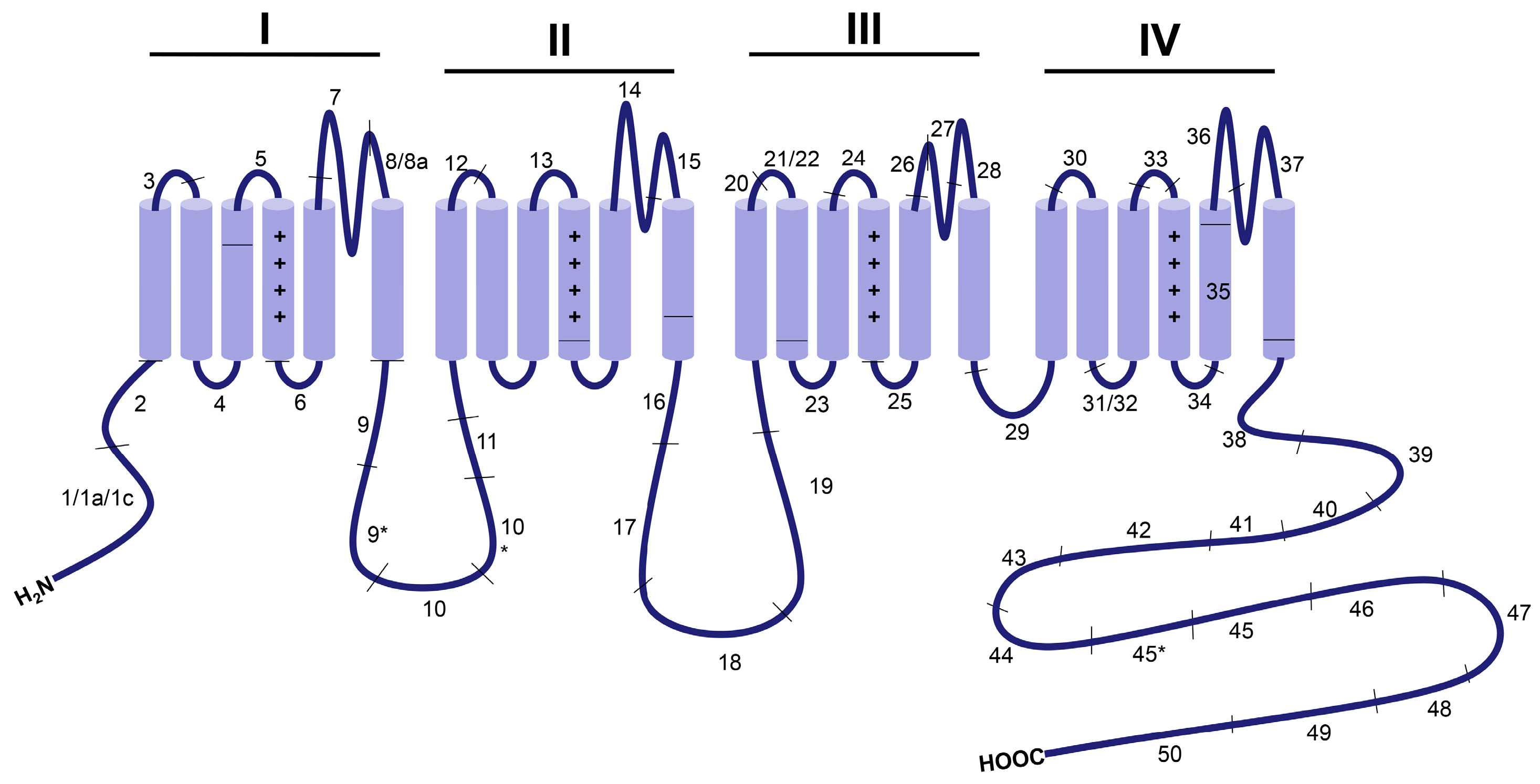 Genes 08 00344 g002 Genes 08 00344 g002