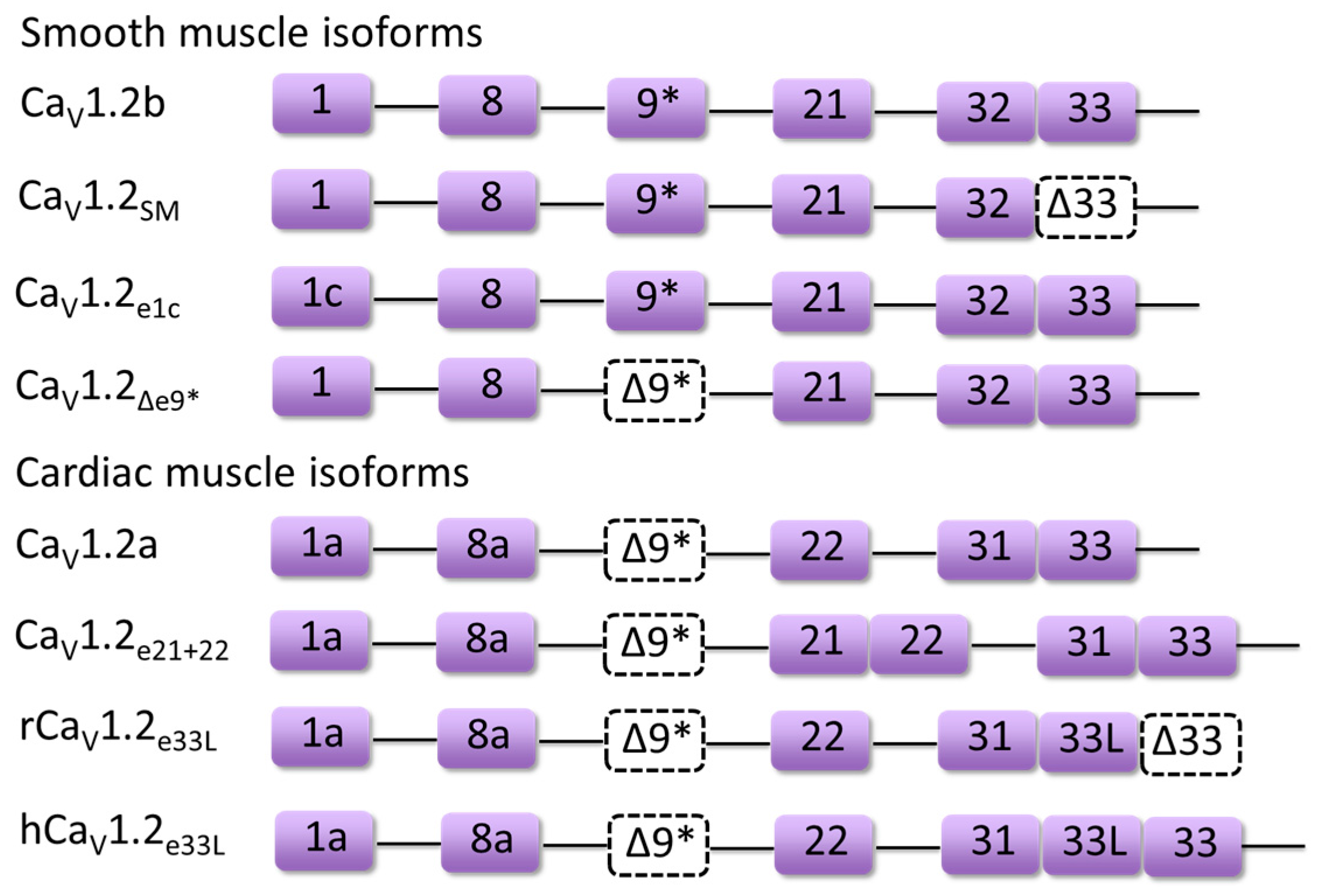 Genes 08 00344 g003 Genes 08 00344 g003