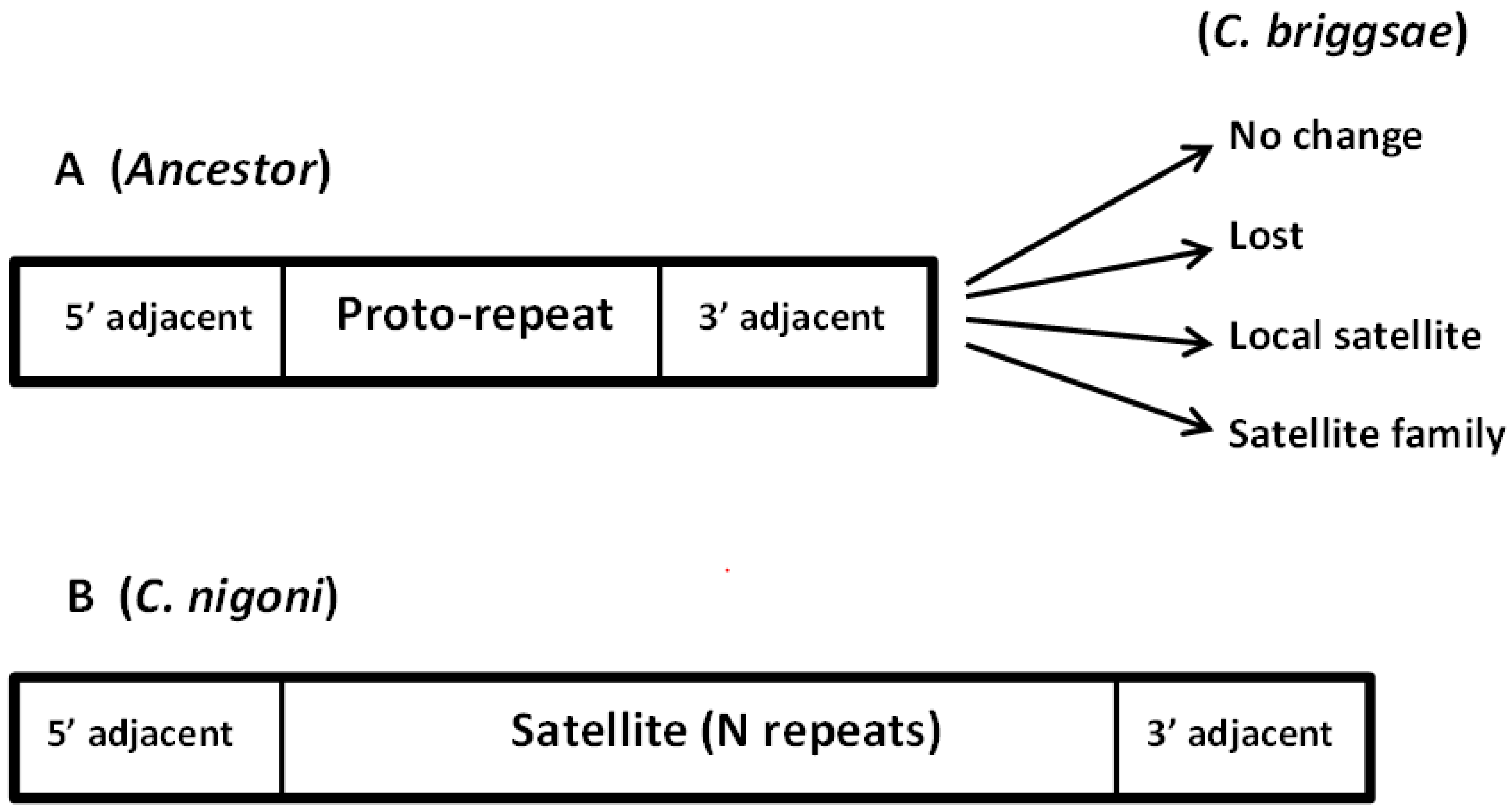 Genes 08 00351 g006 Genes 08 00351 g006