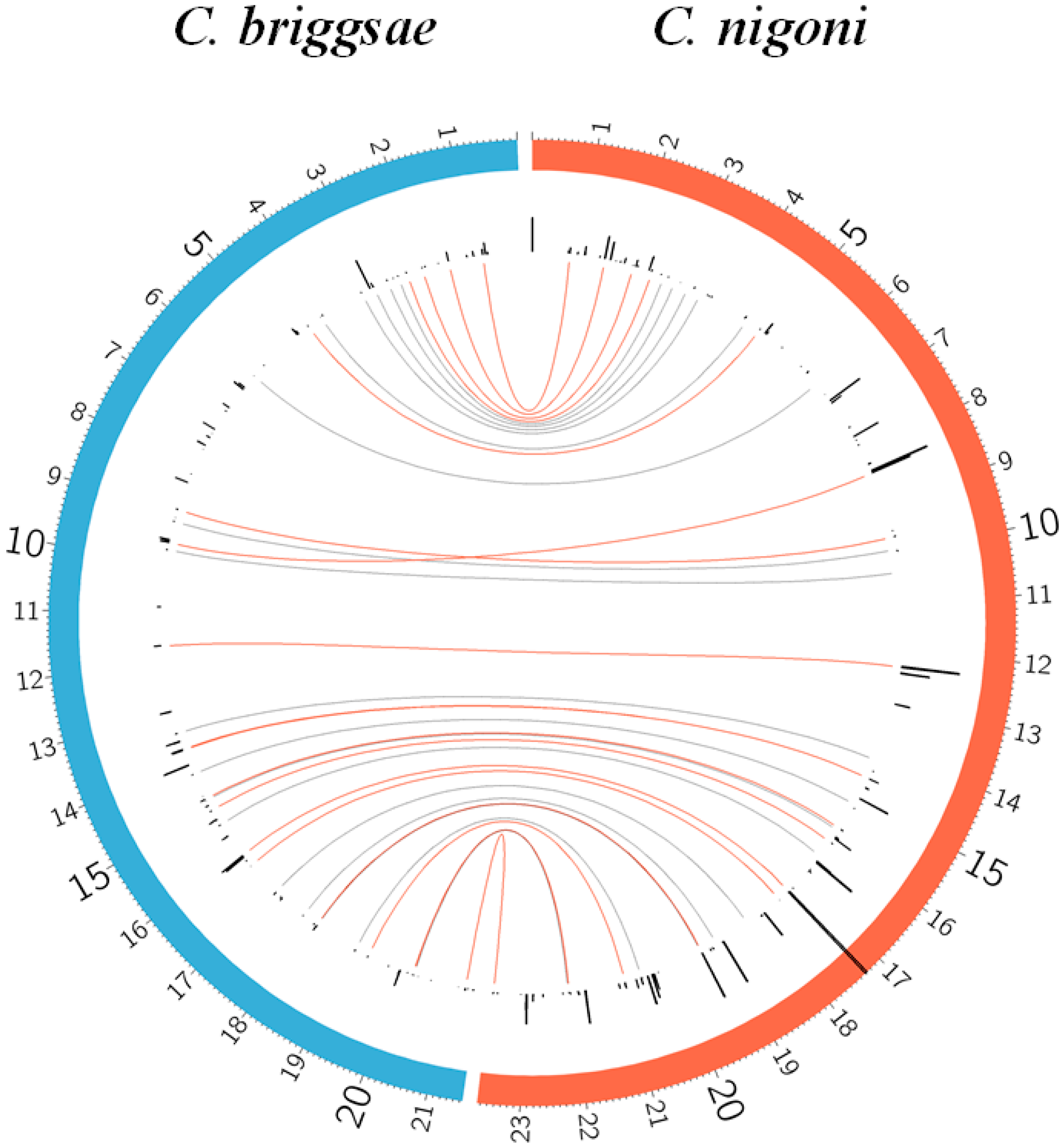Genes 08 00351 g007 Genes 08 00351 g007
