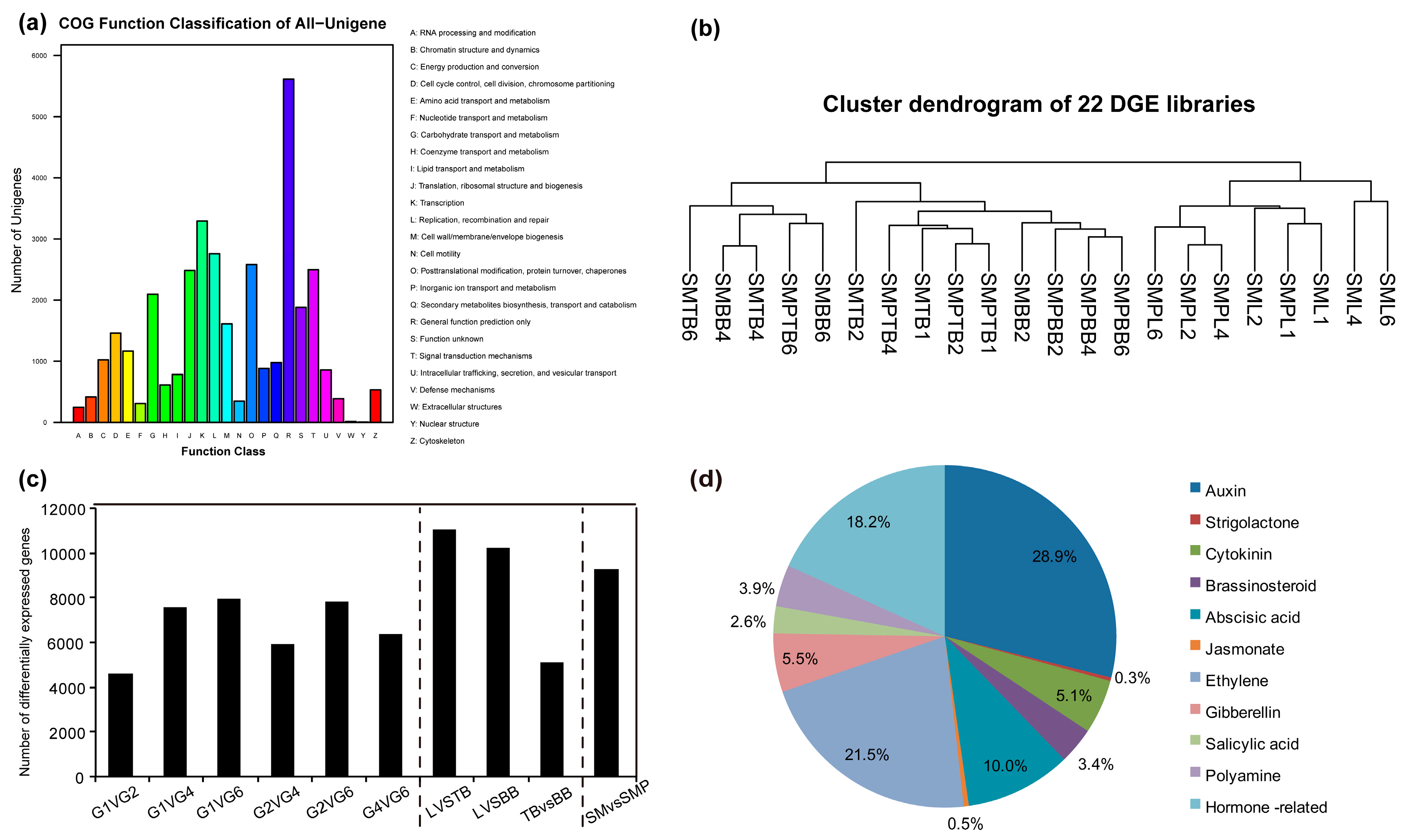 Genes 08 00359 g003