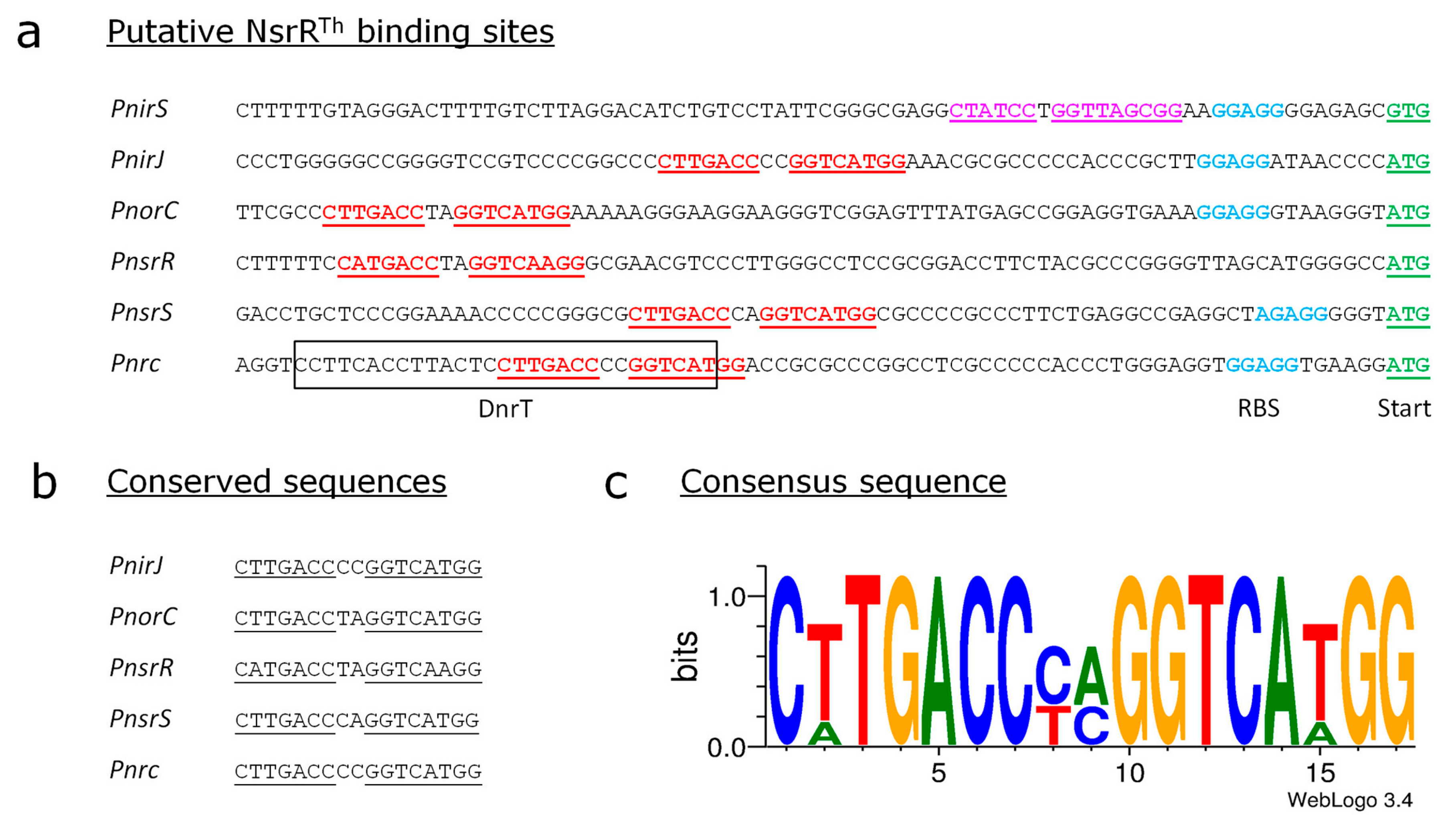 Genes 08 00361 g006