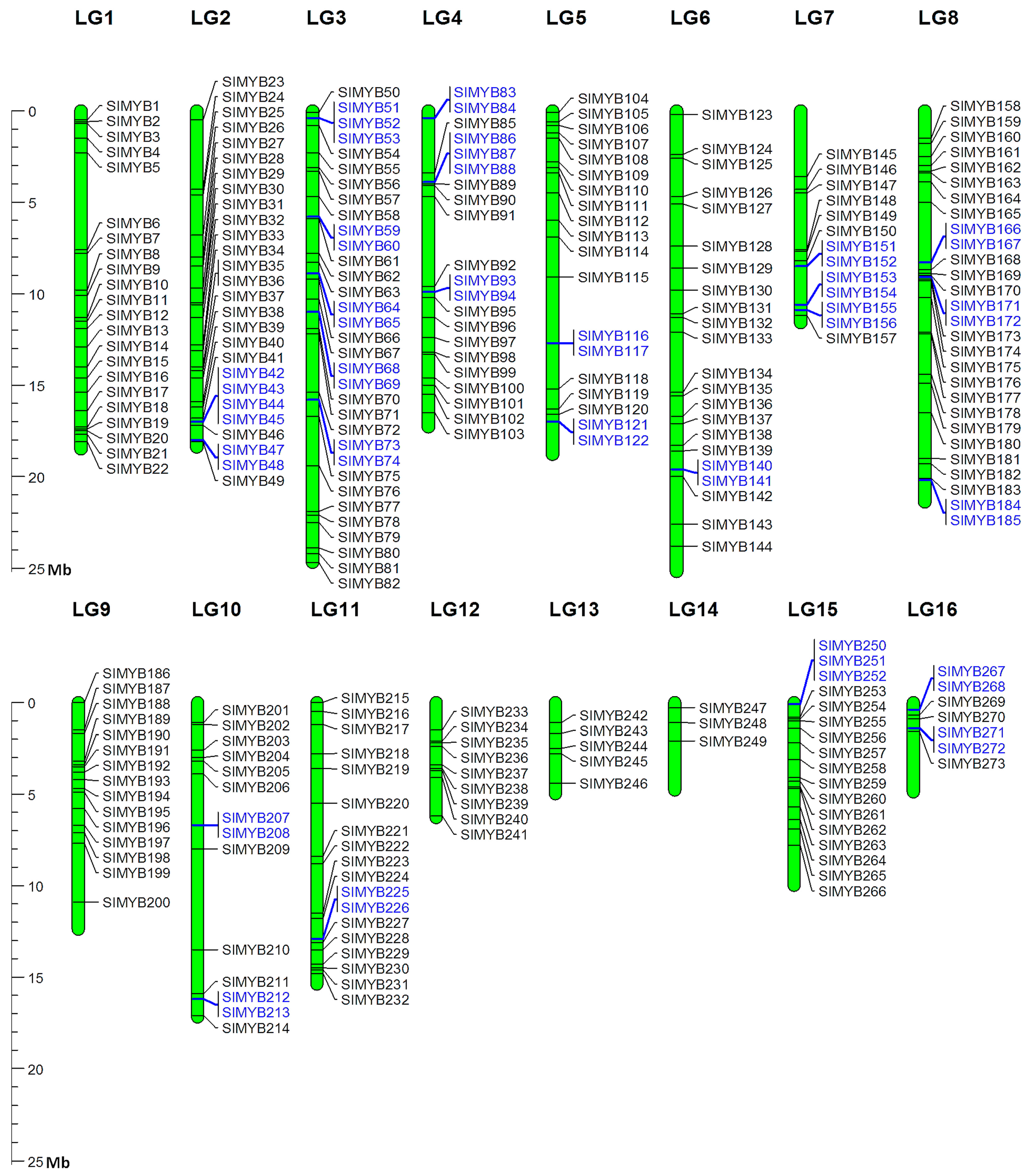 Genes 08 00362 g001