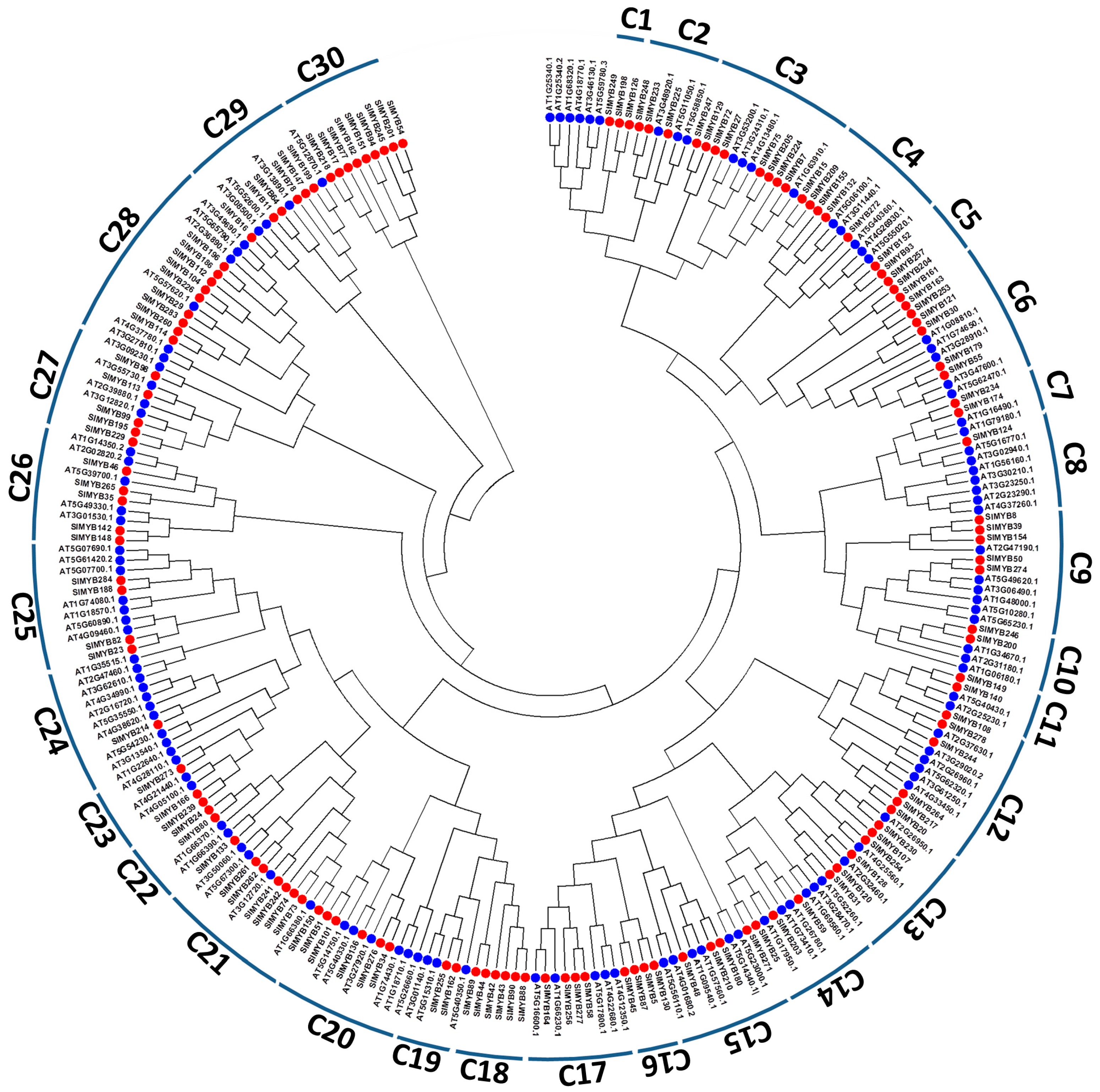 Genes 08 00362 g002