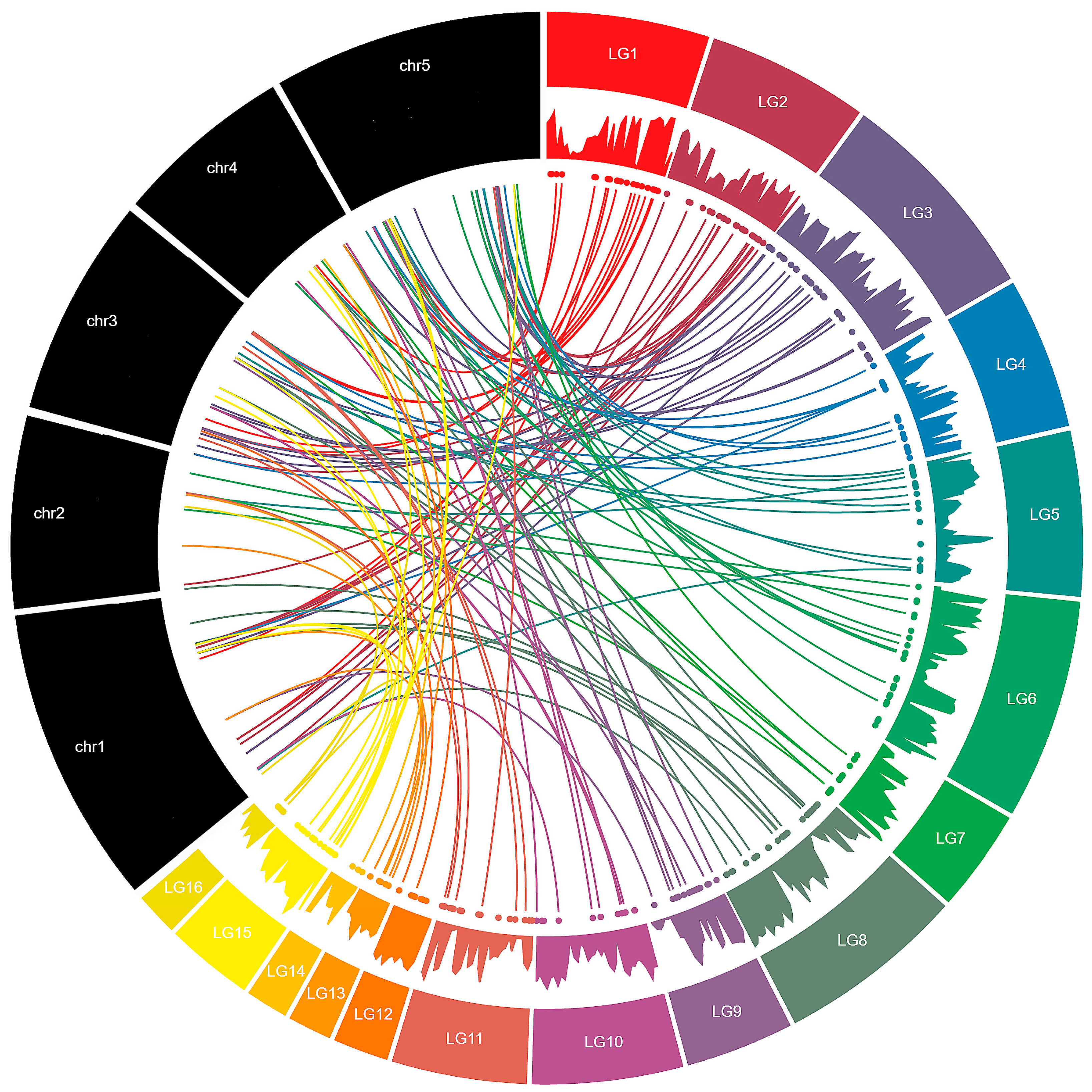 Genes 08 00362 g003