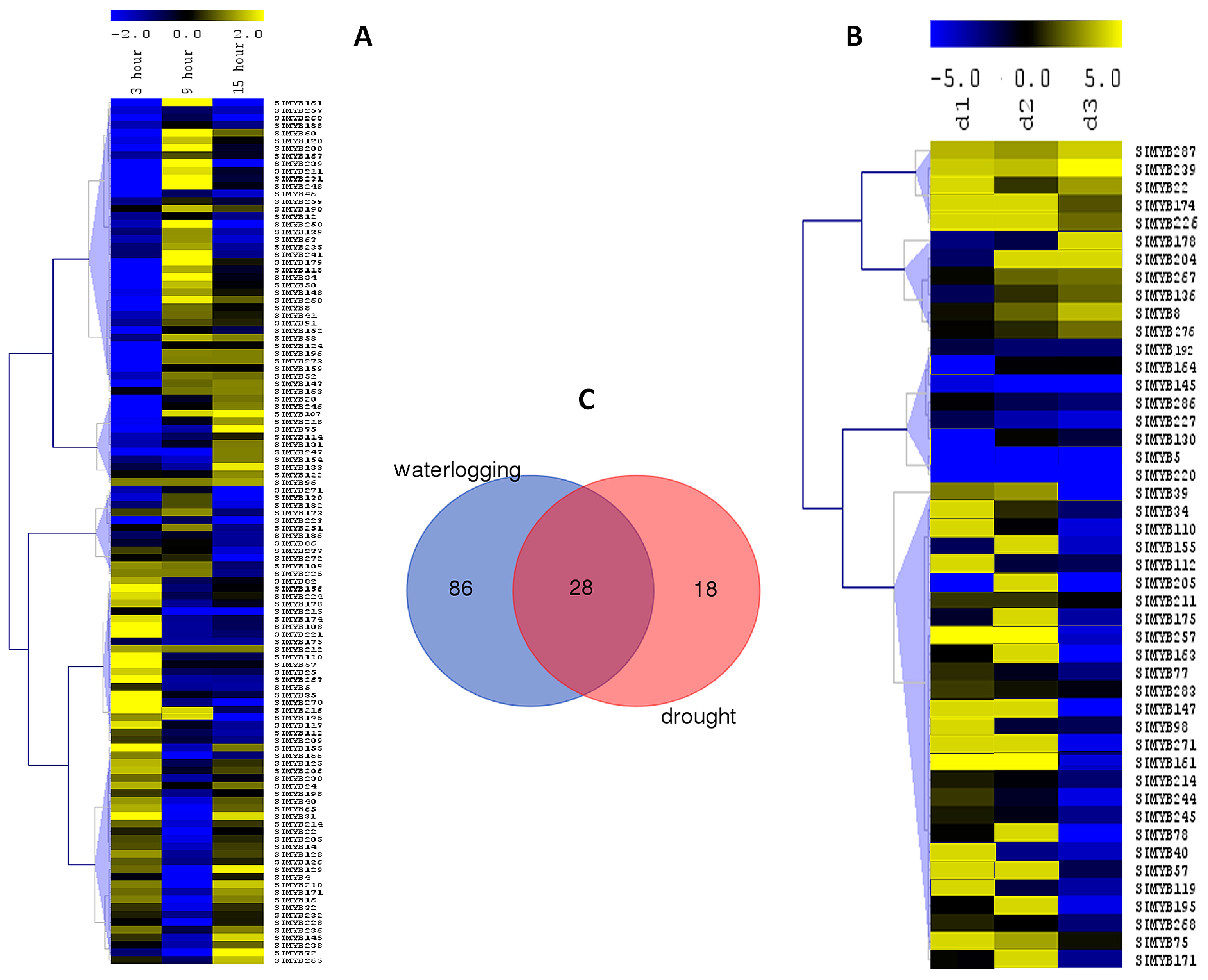 Genes 08 00362 g005