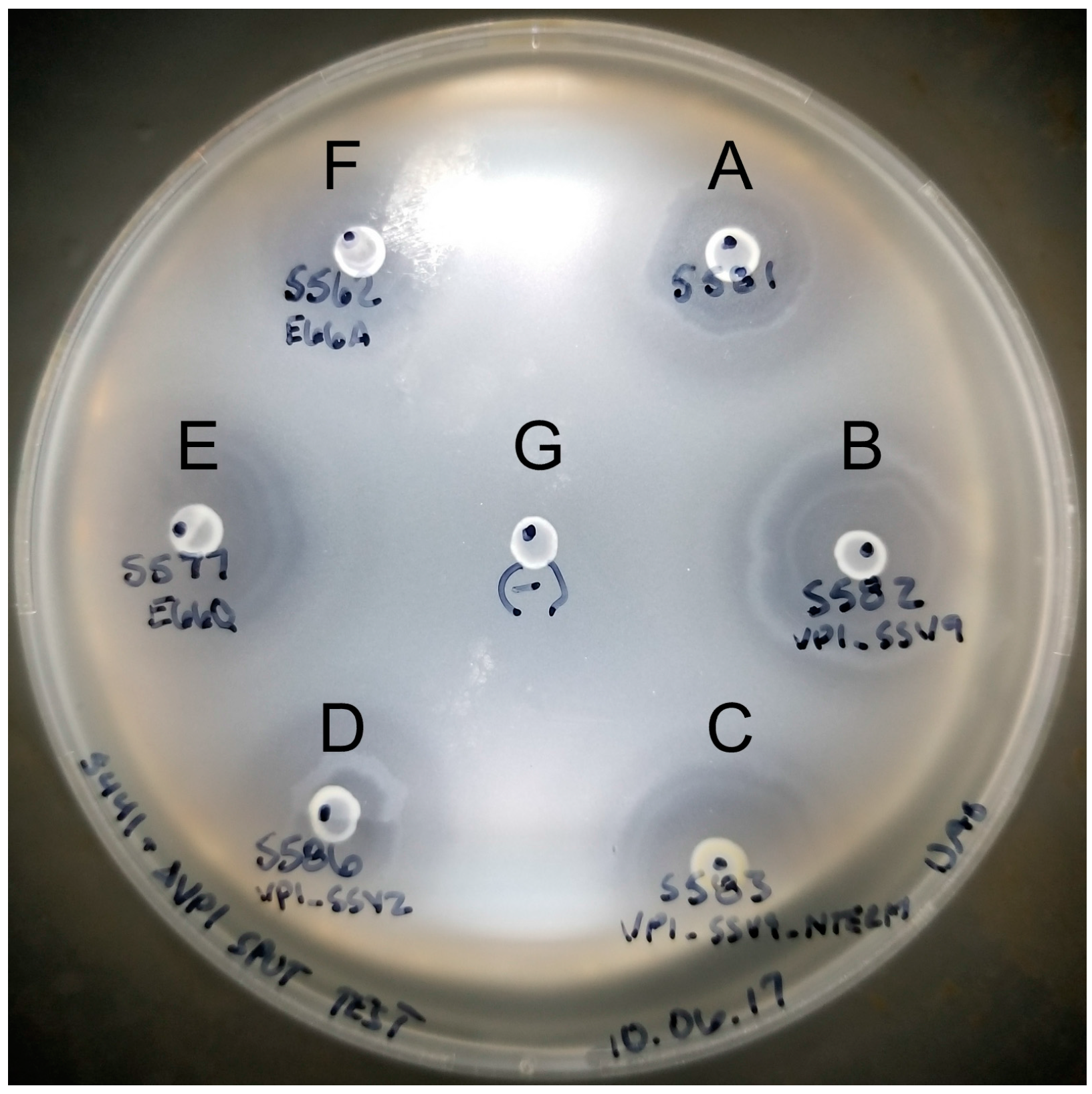 Genes 08 00373 g002 Genes 08 00373 g002
