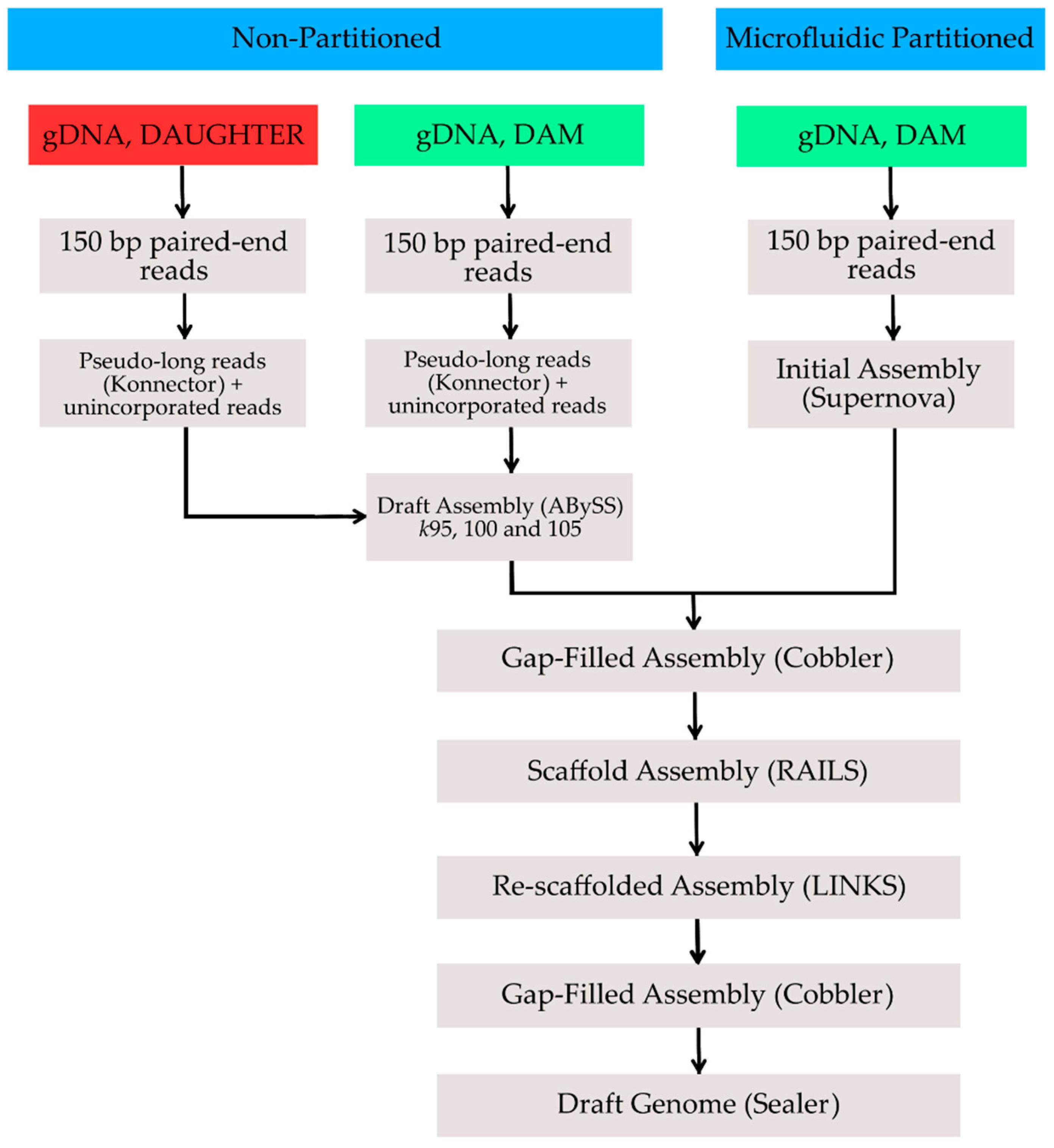 Genes 08 00378 g001 Genes 08 00378 g001
