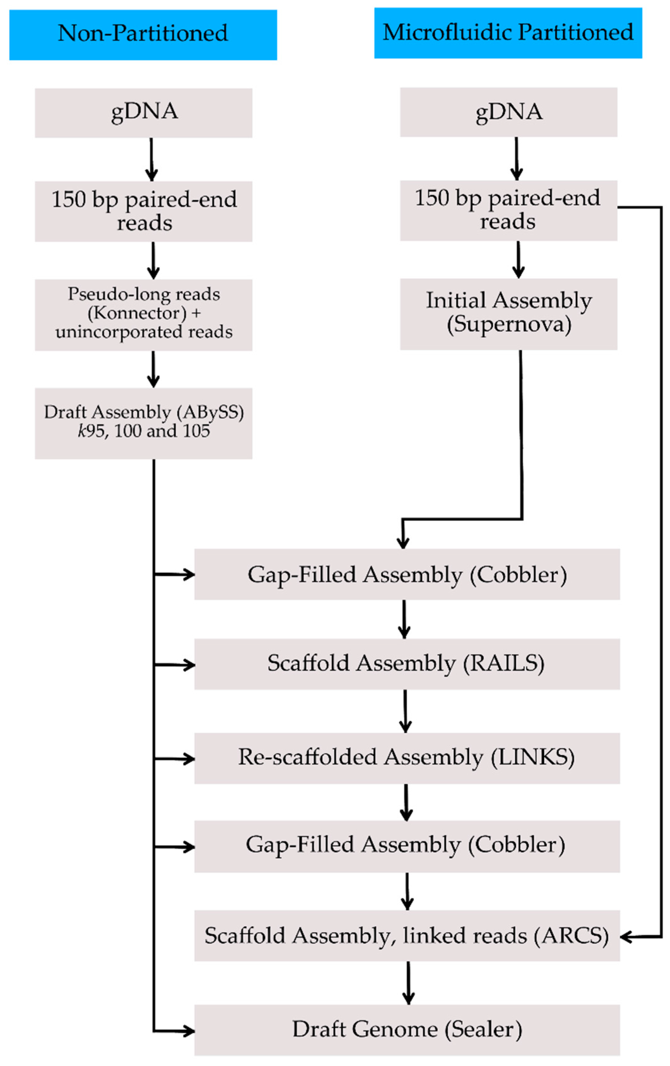Genes 08 00379 g001 Genes 08 00379 g001