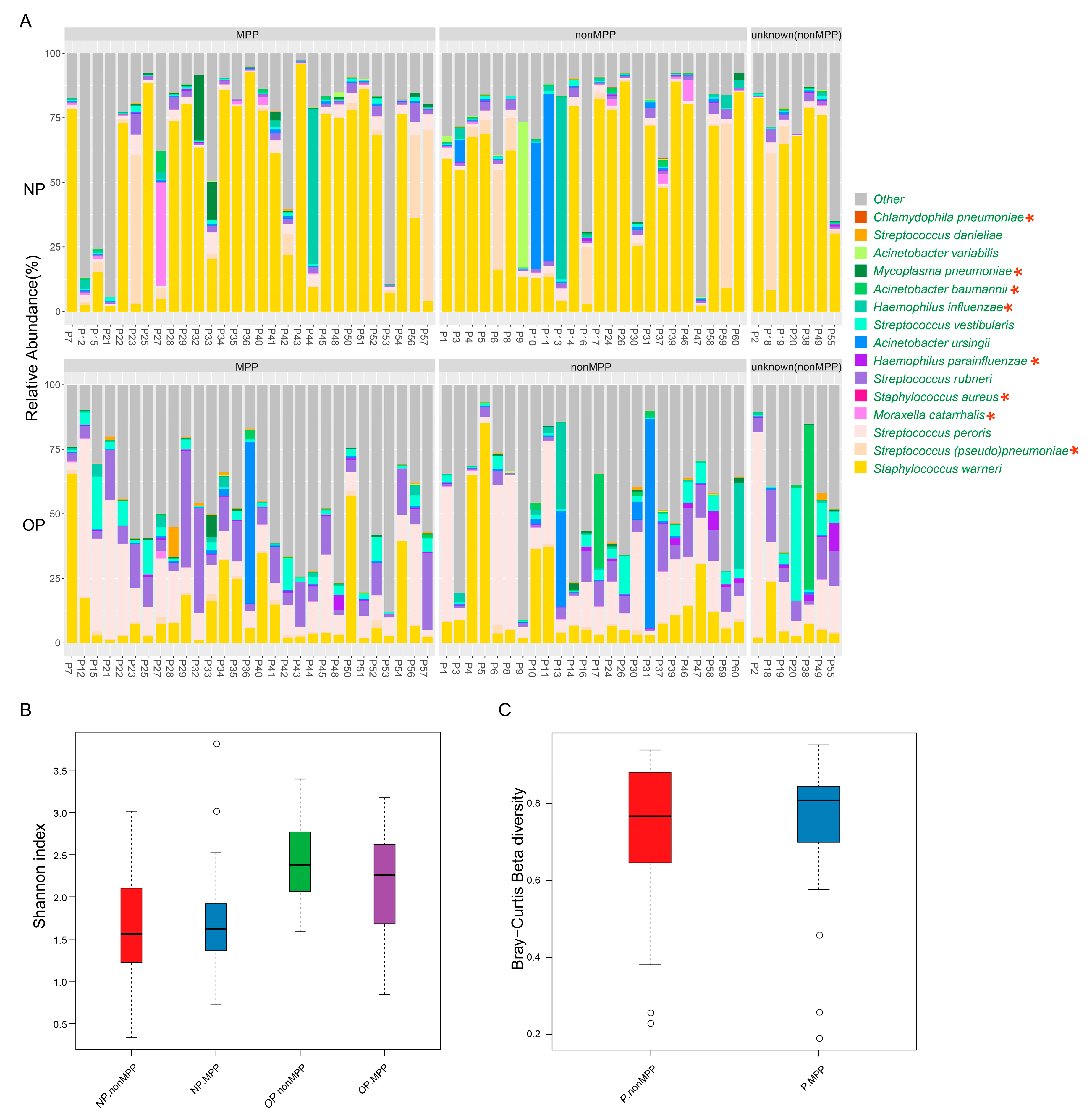 Genes 08 00380 g004 Genes 08 00380 g004
