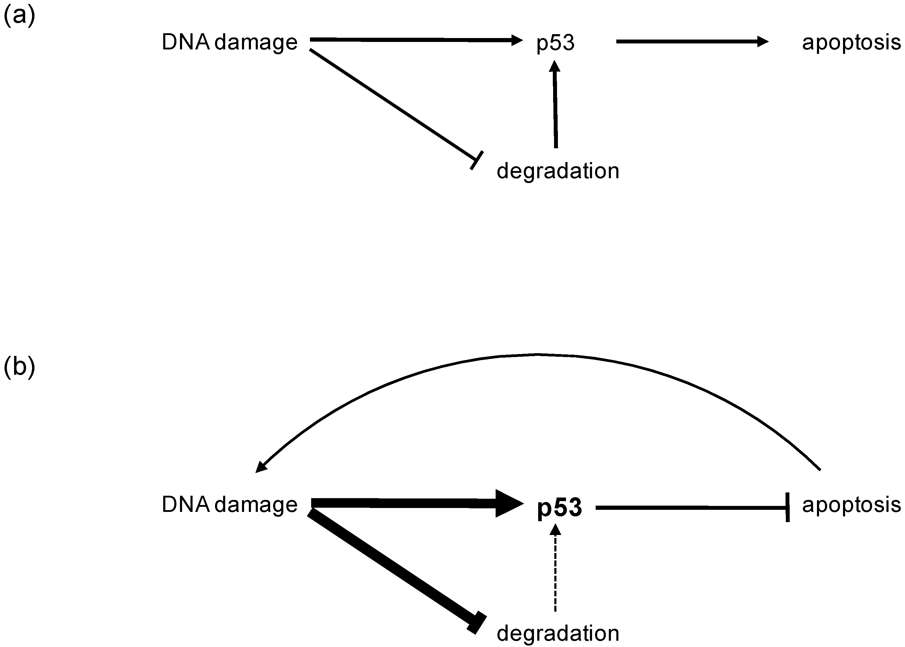 Genes 08 00384 g001 Genes 08 00384 g001