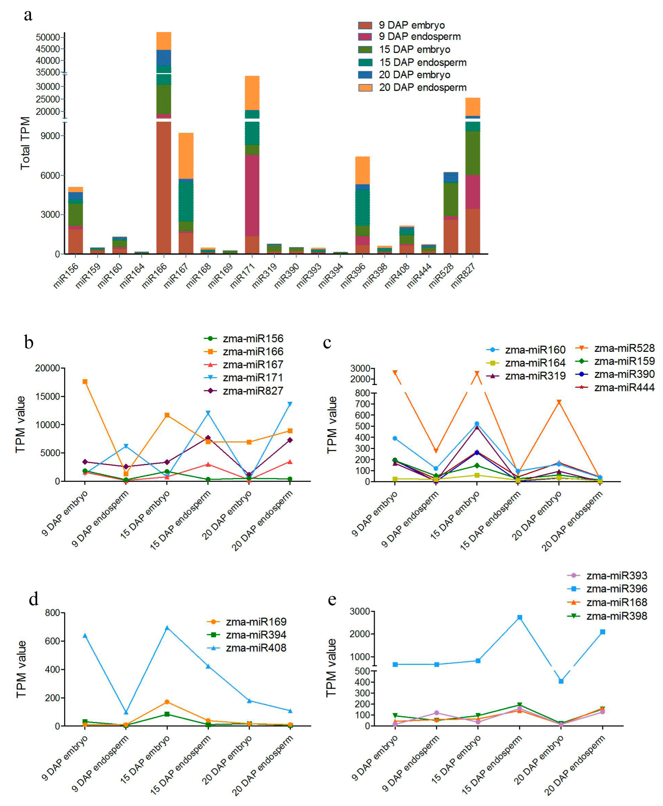 Genes 08 00385 g003 Genes 08 00385 g003