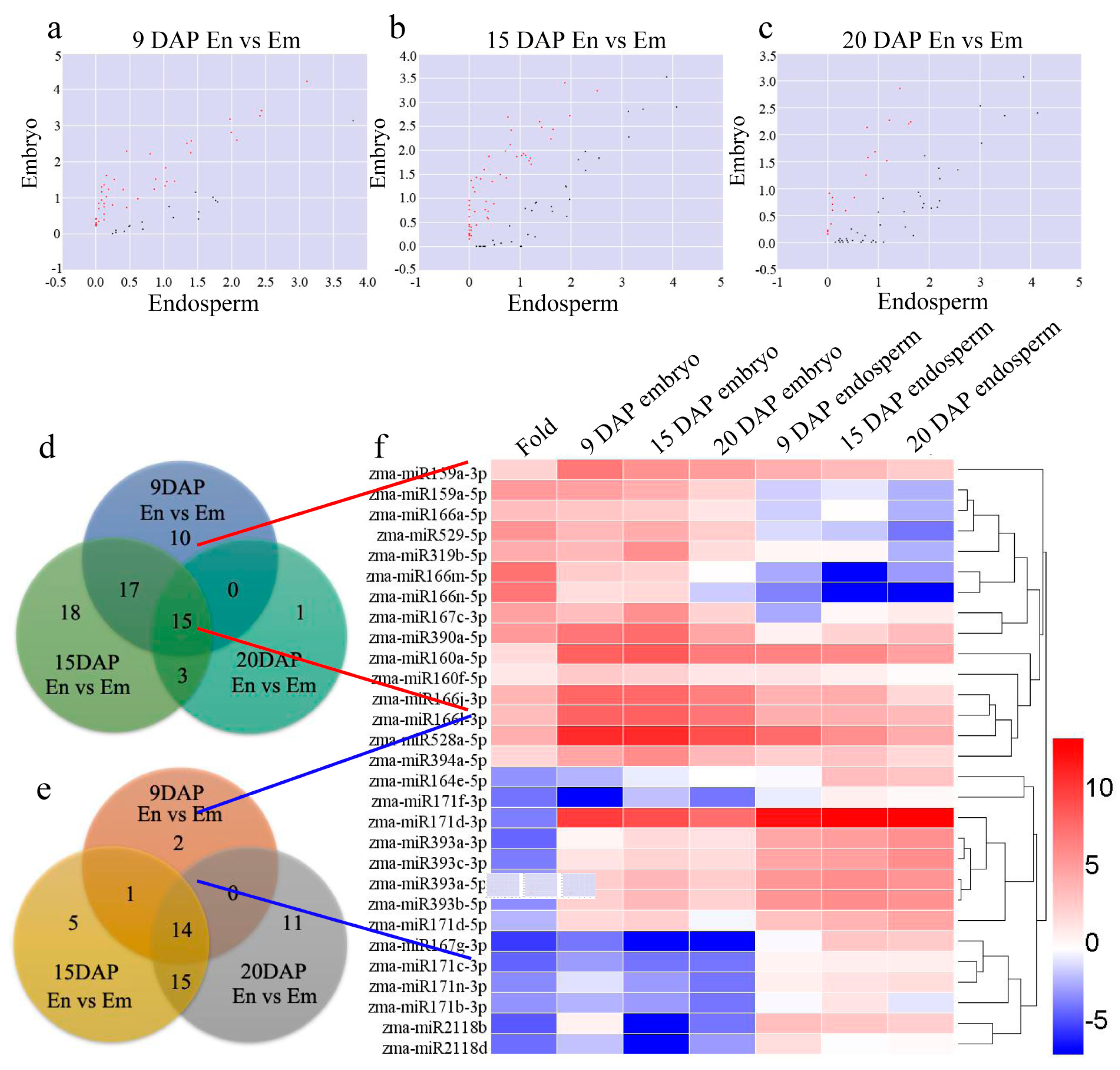 Genes 08 00385 g004 Genes 08 00385 g004