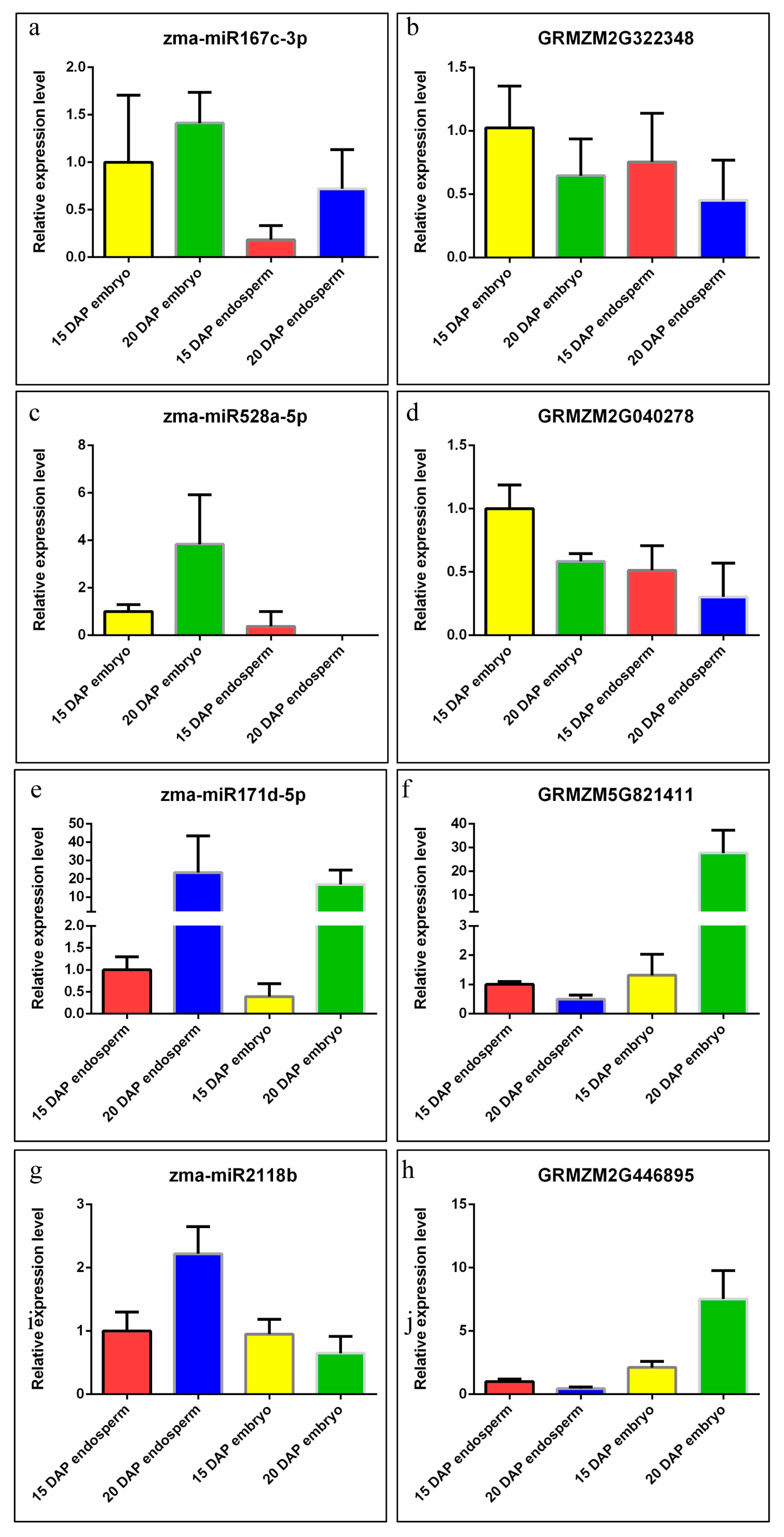 Genes 08 00385 g006 Genes 08 00385 g006