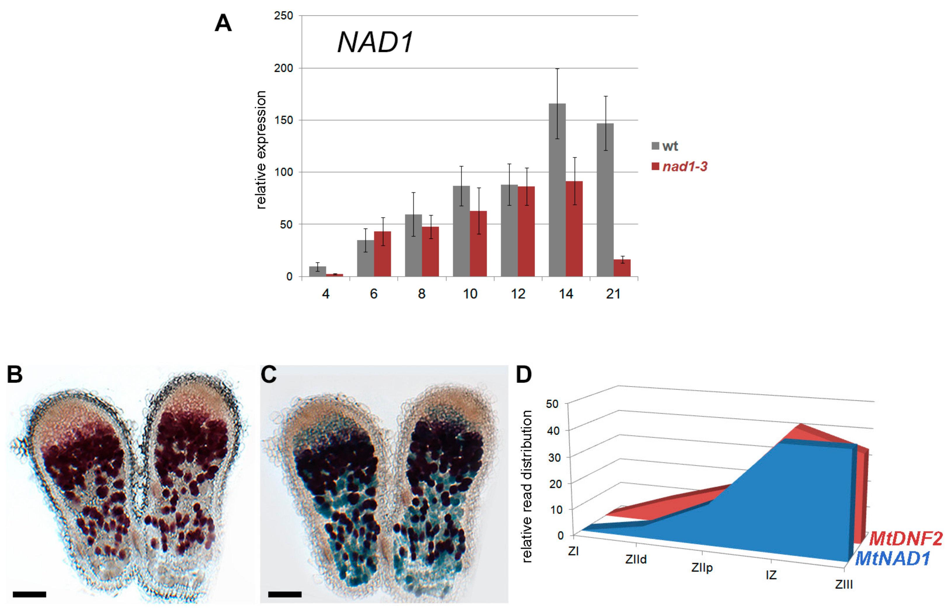Genes 08 00387 g003
