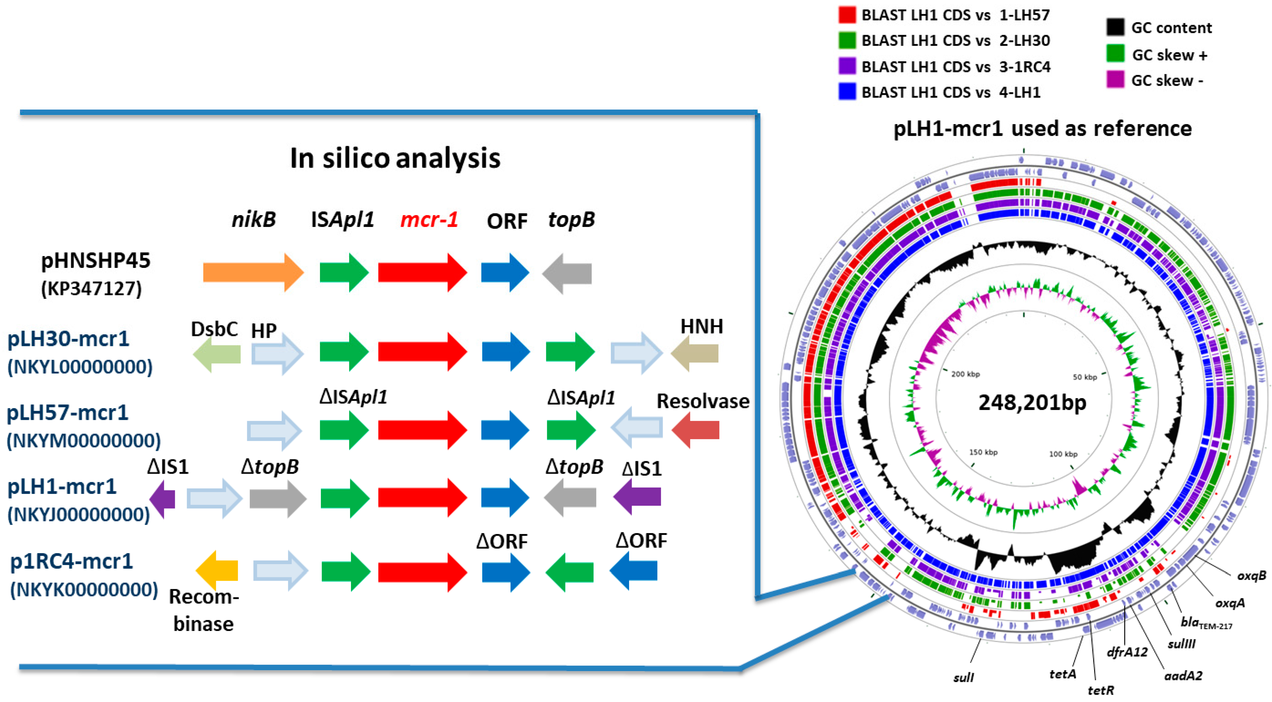 Genes 08 00394 g003 Genes 08 00394 g003